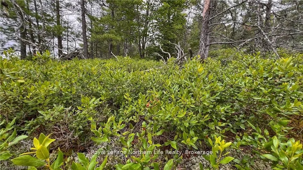 PCL 16569 Burnt Island