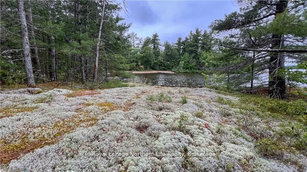 PCL 16569 Burnt Island