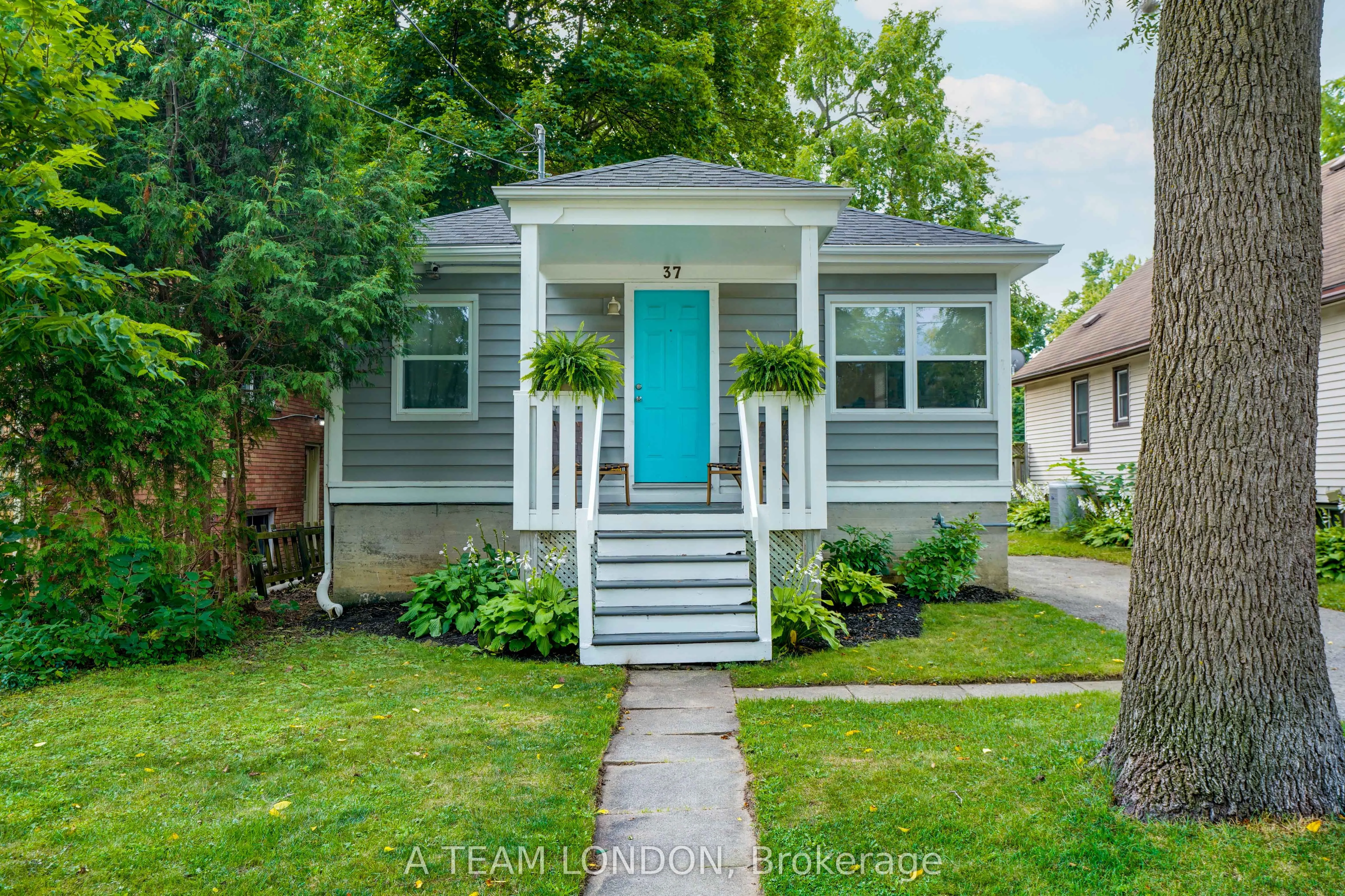 37 McClary Avenue