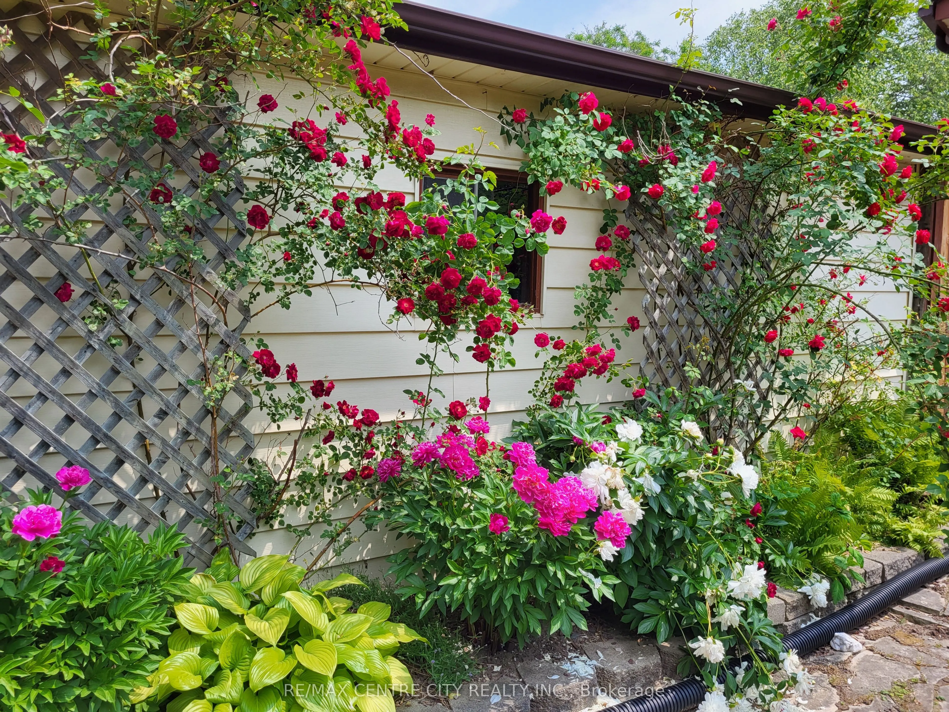108 Cecilia Place