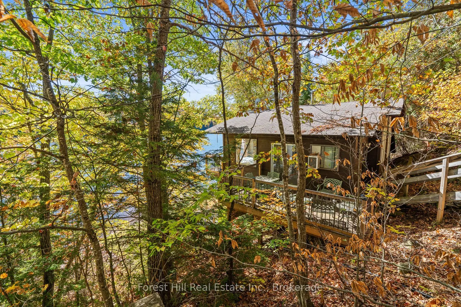 1187 Ivy Lane