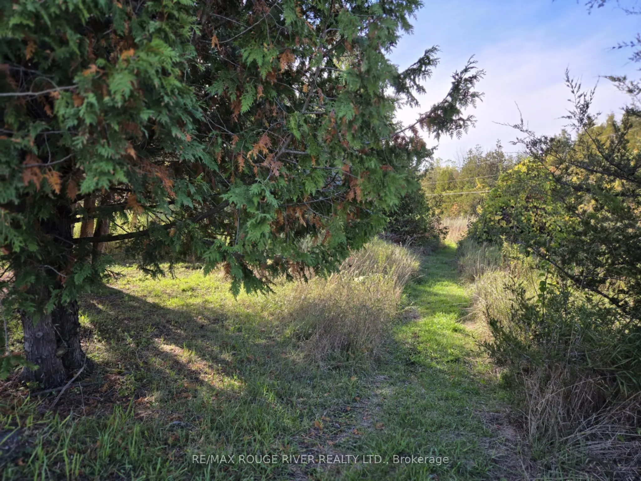 1176 IXL Road
