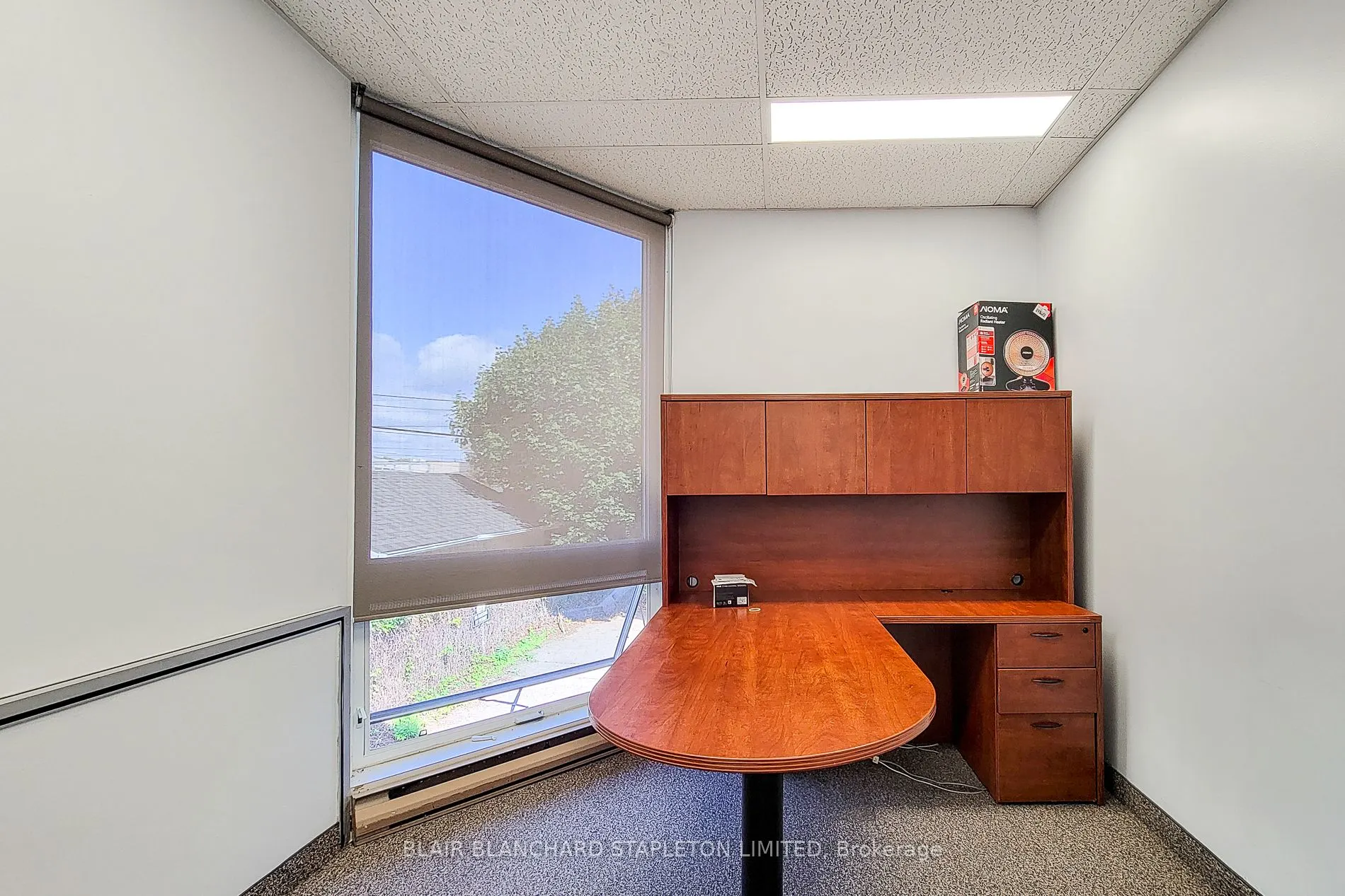 177 Rebecca Street