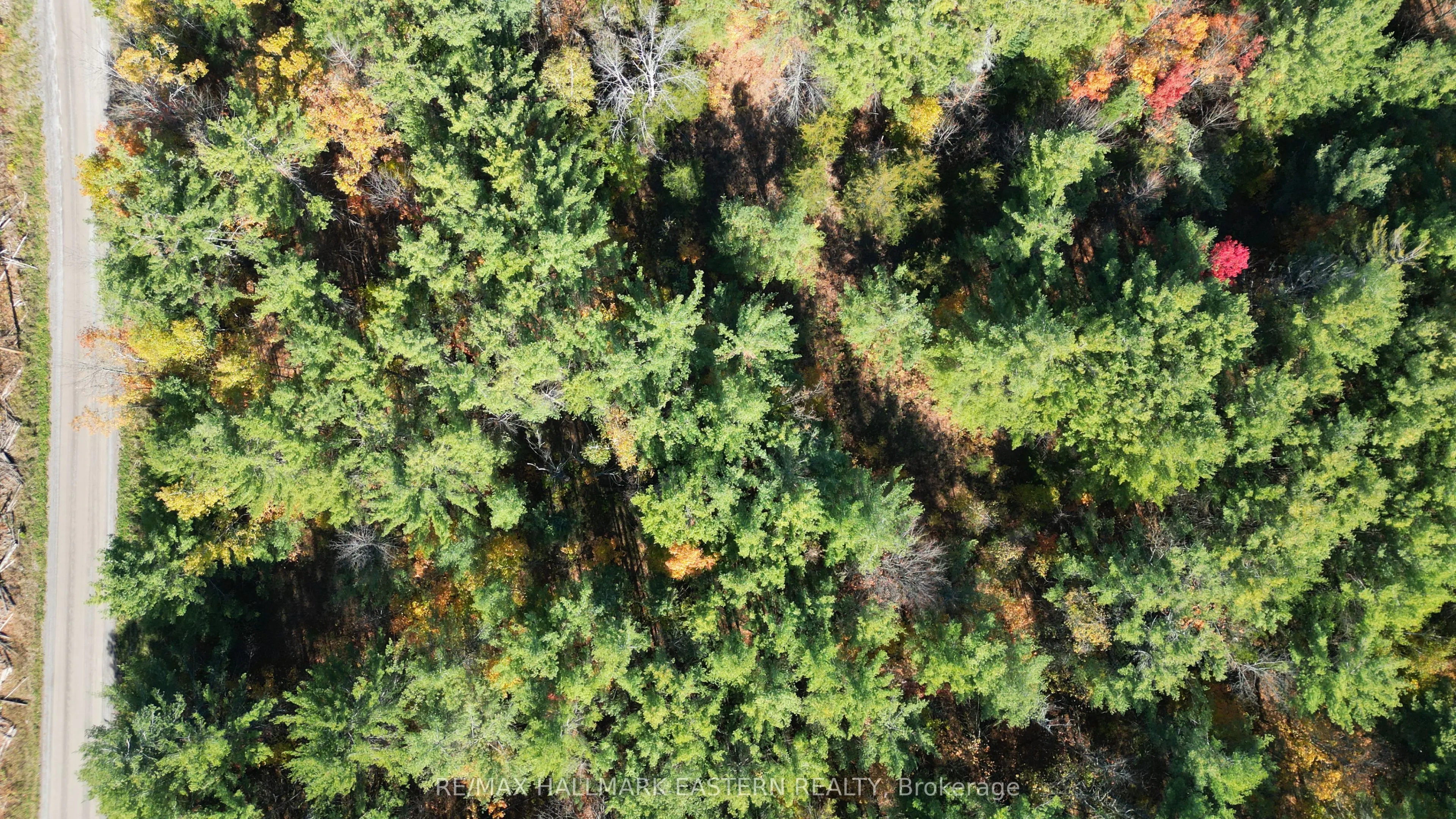 Evegroen Road