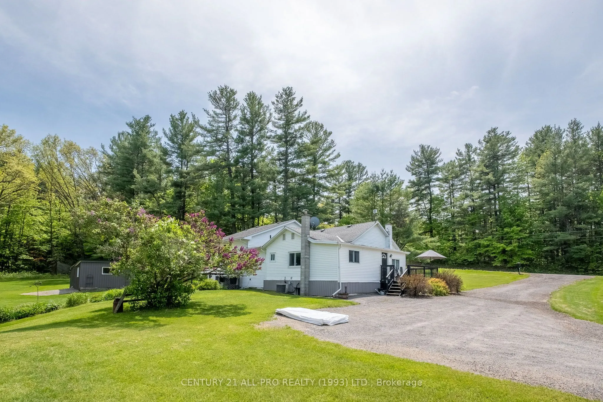 515 Tobacco Road