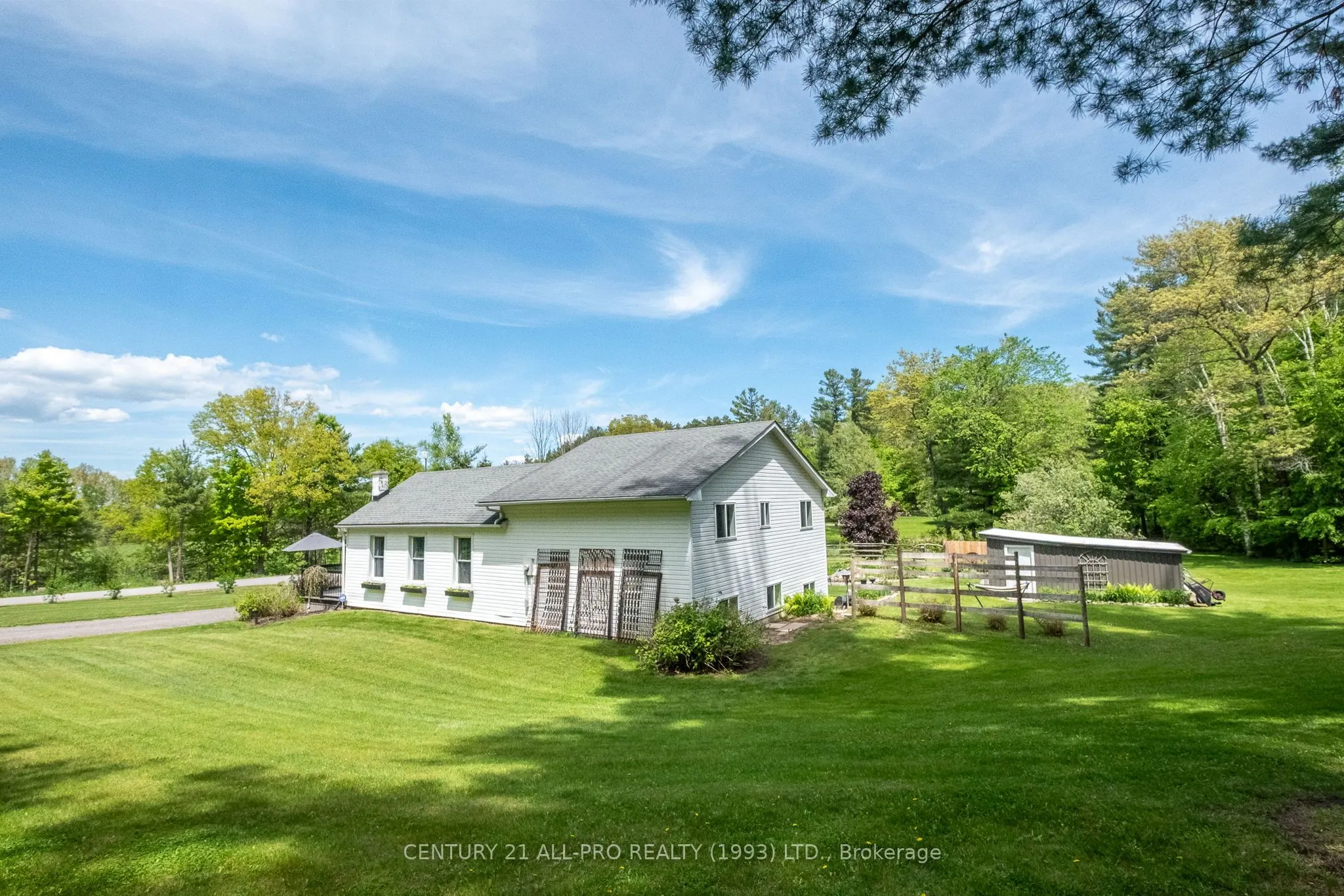 515 Tobacco Road