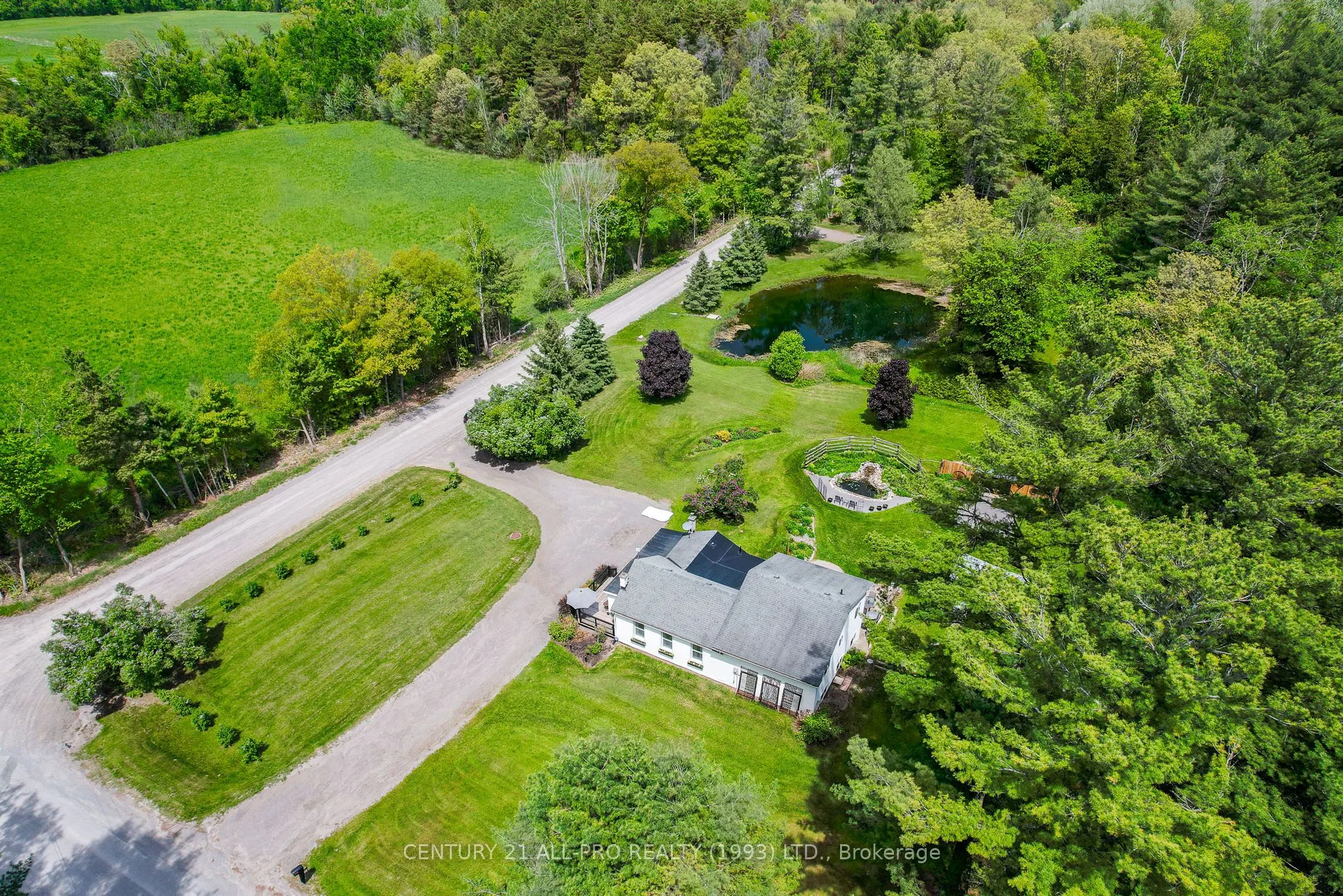 515 Tobacco Road