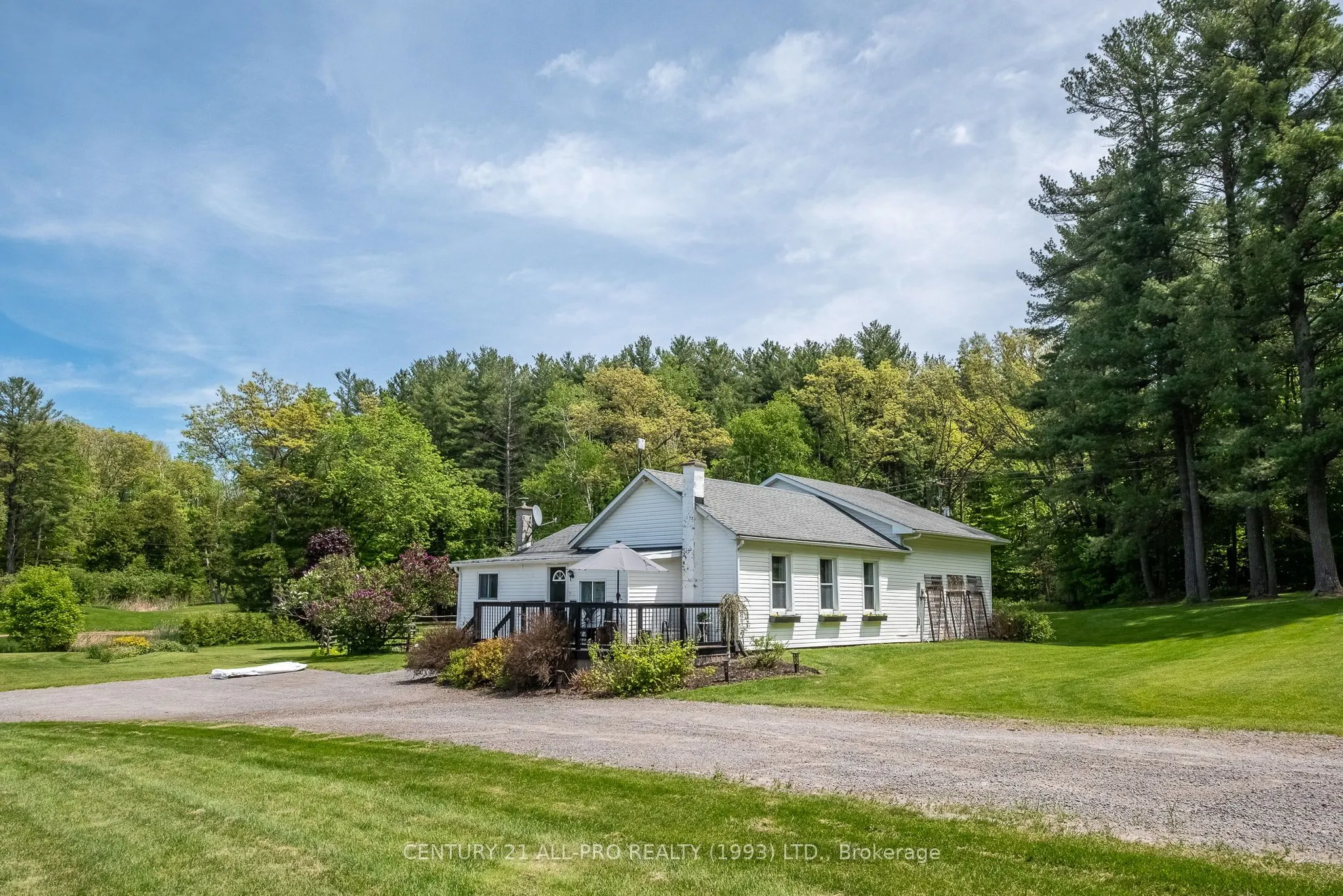 515 Tobacco Road