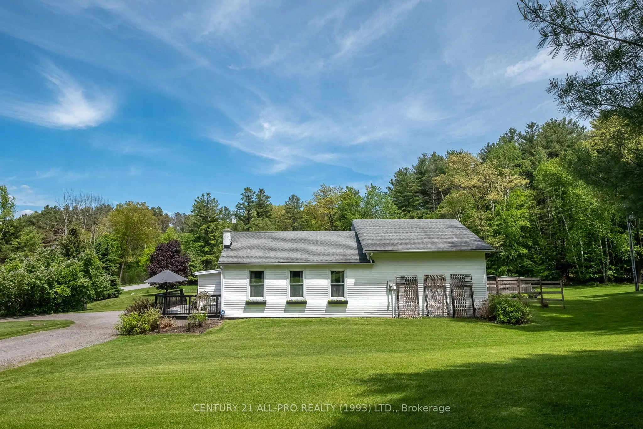 515 Tobacco Road