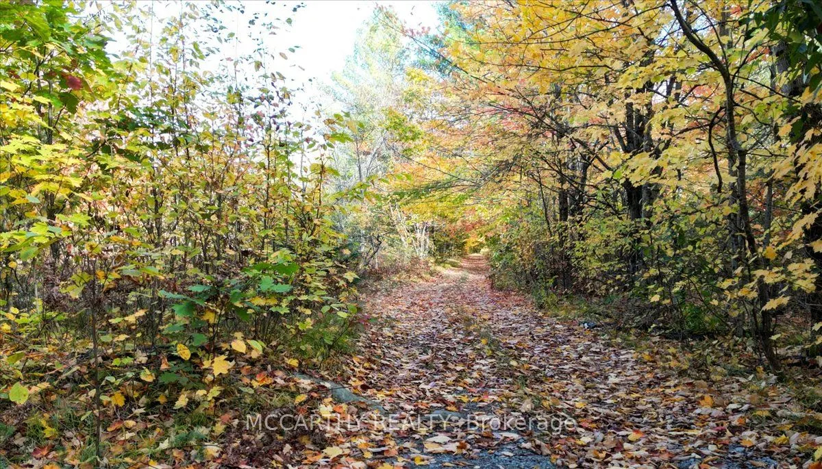3649 County 504 Road