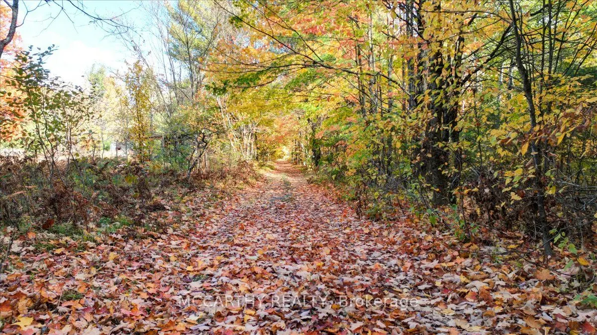 3649 County 504 Road