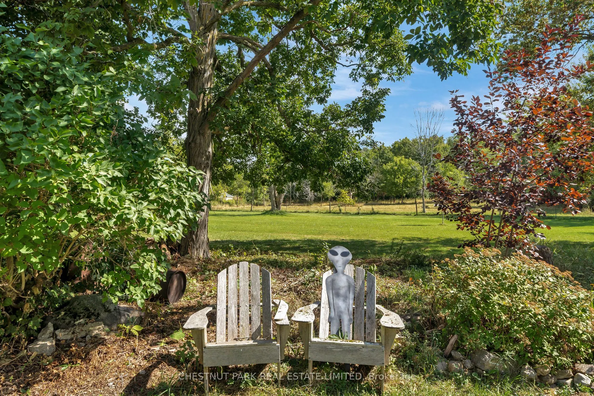1309 County Rd 3