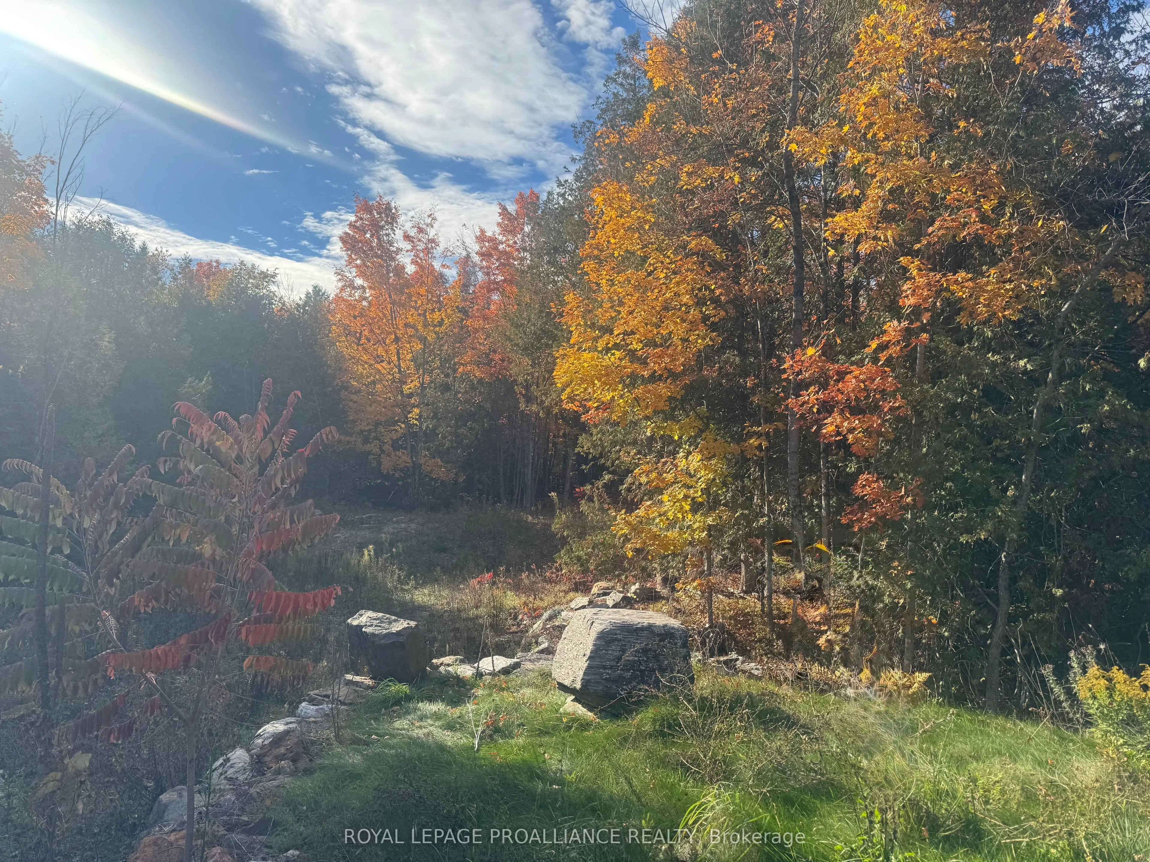 Lot 2 Vansickle Road N