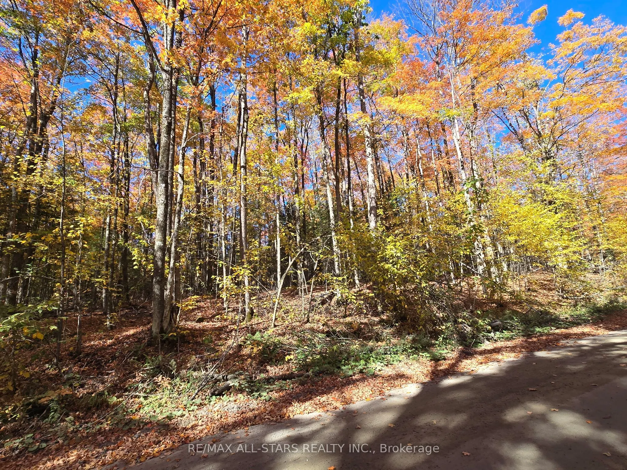 0 Salerno Lake Road