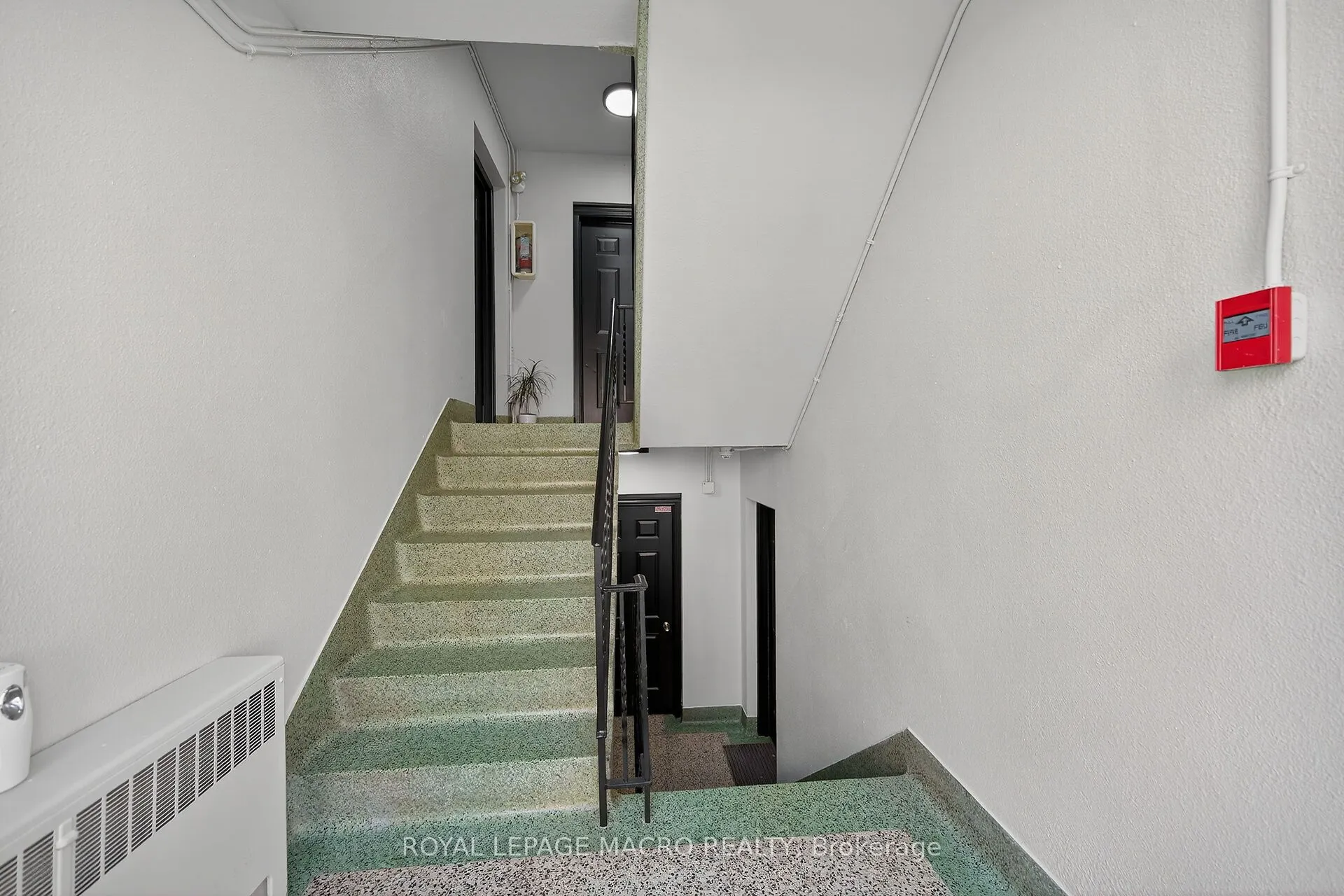 5 Applewood Avenue, #1