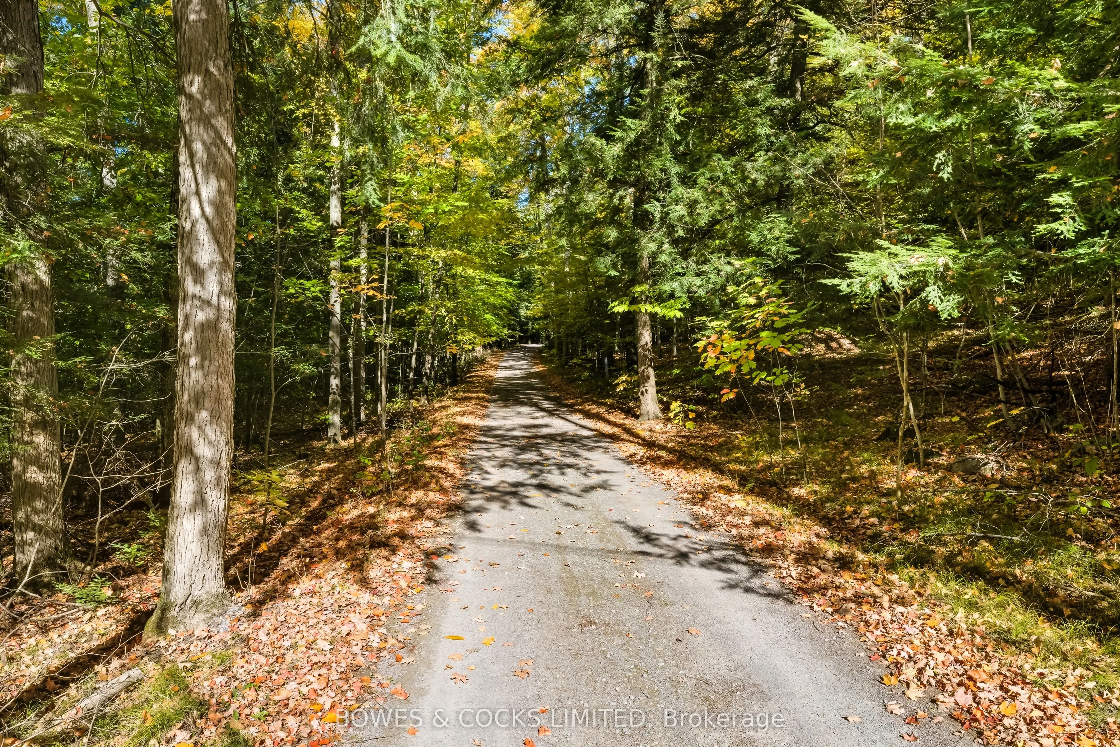 511 Concession Road 12 E