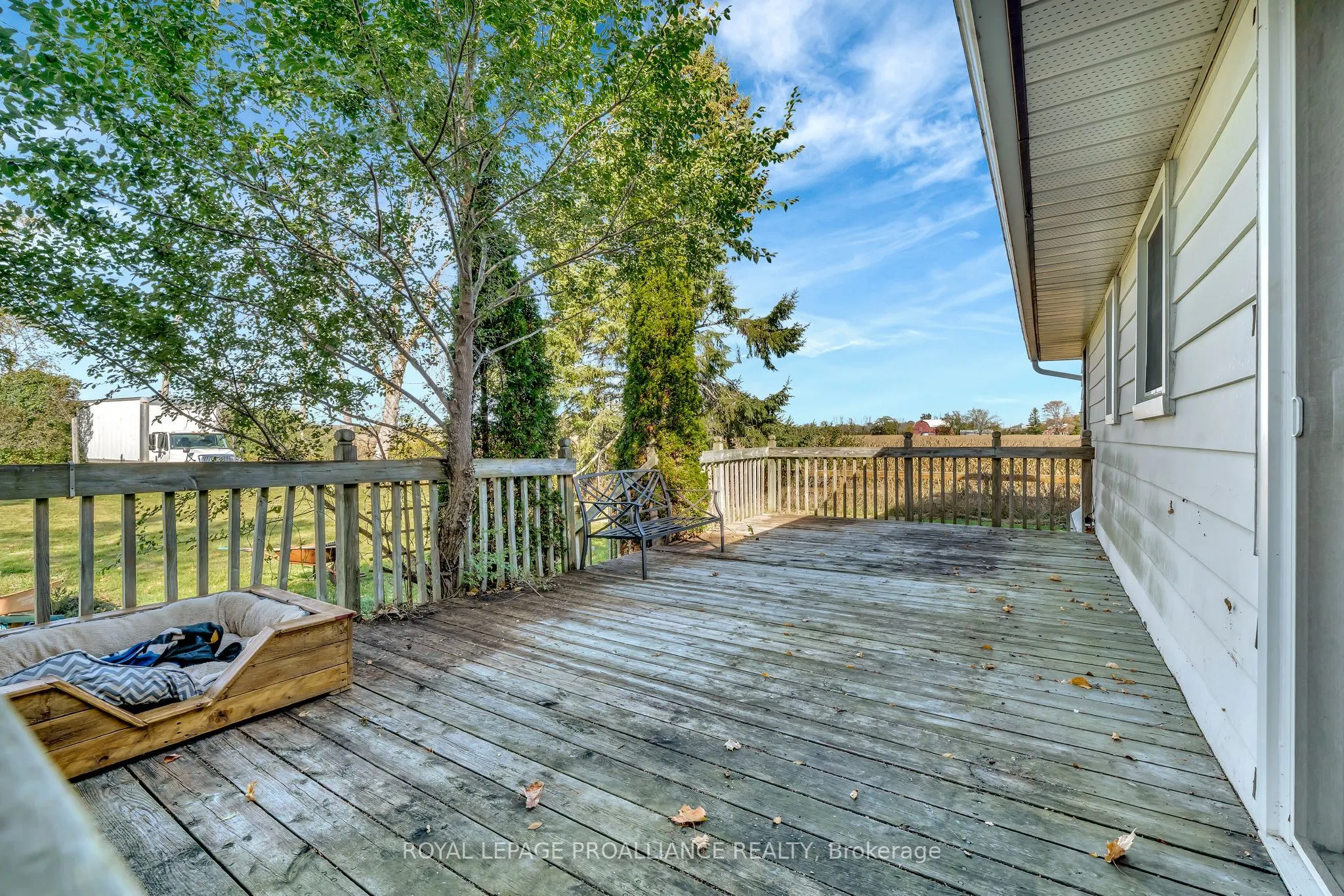 1067 AIRPORT Parkway