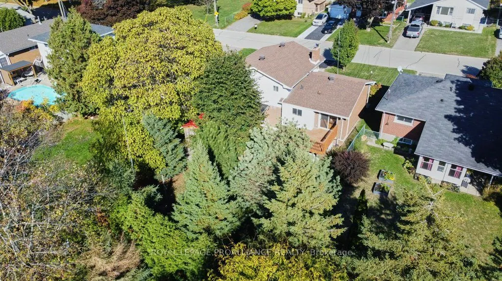 42 Davison Avenue