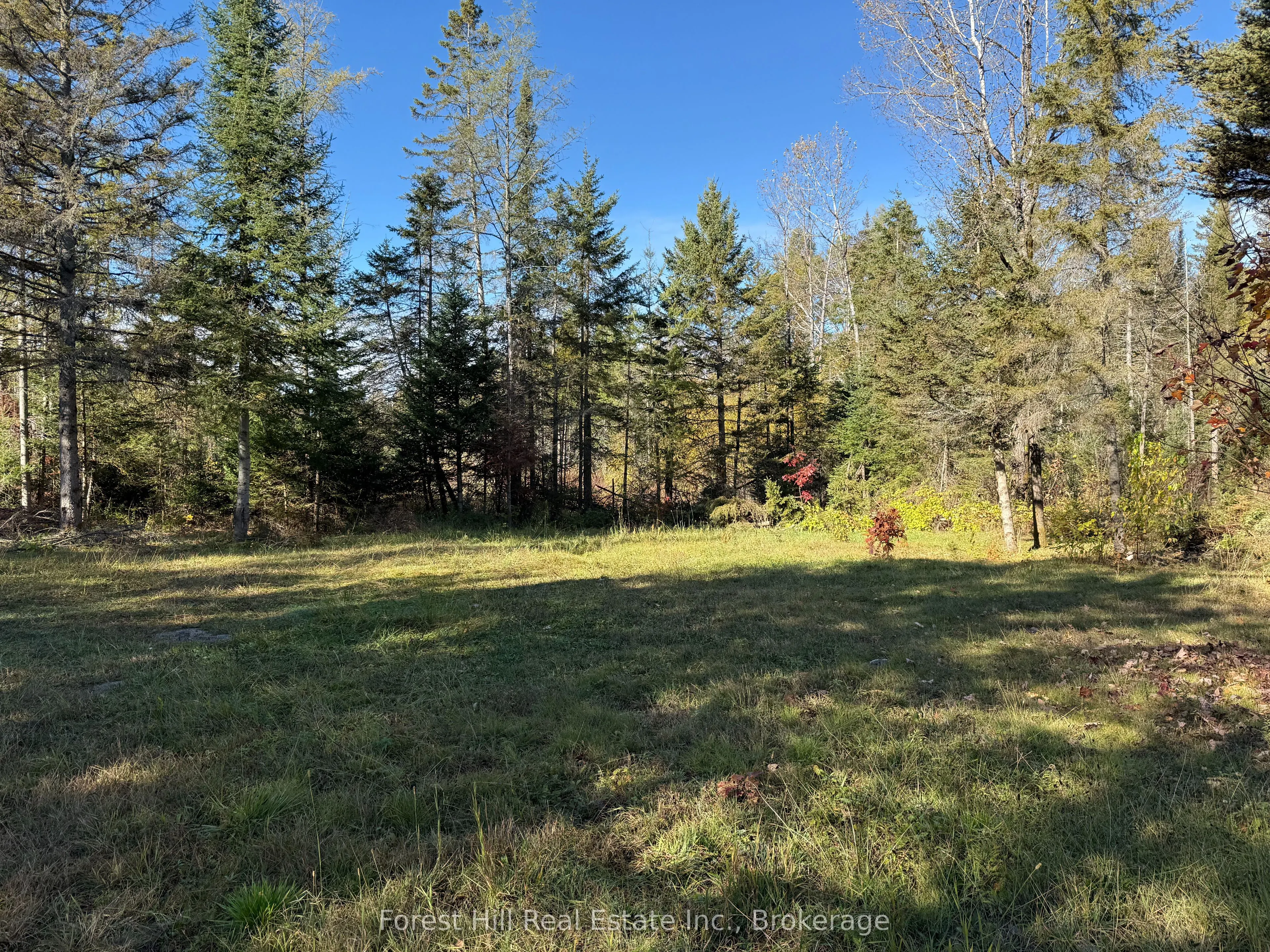 789 PICKEREL & JACK LAKE Road