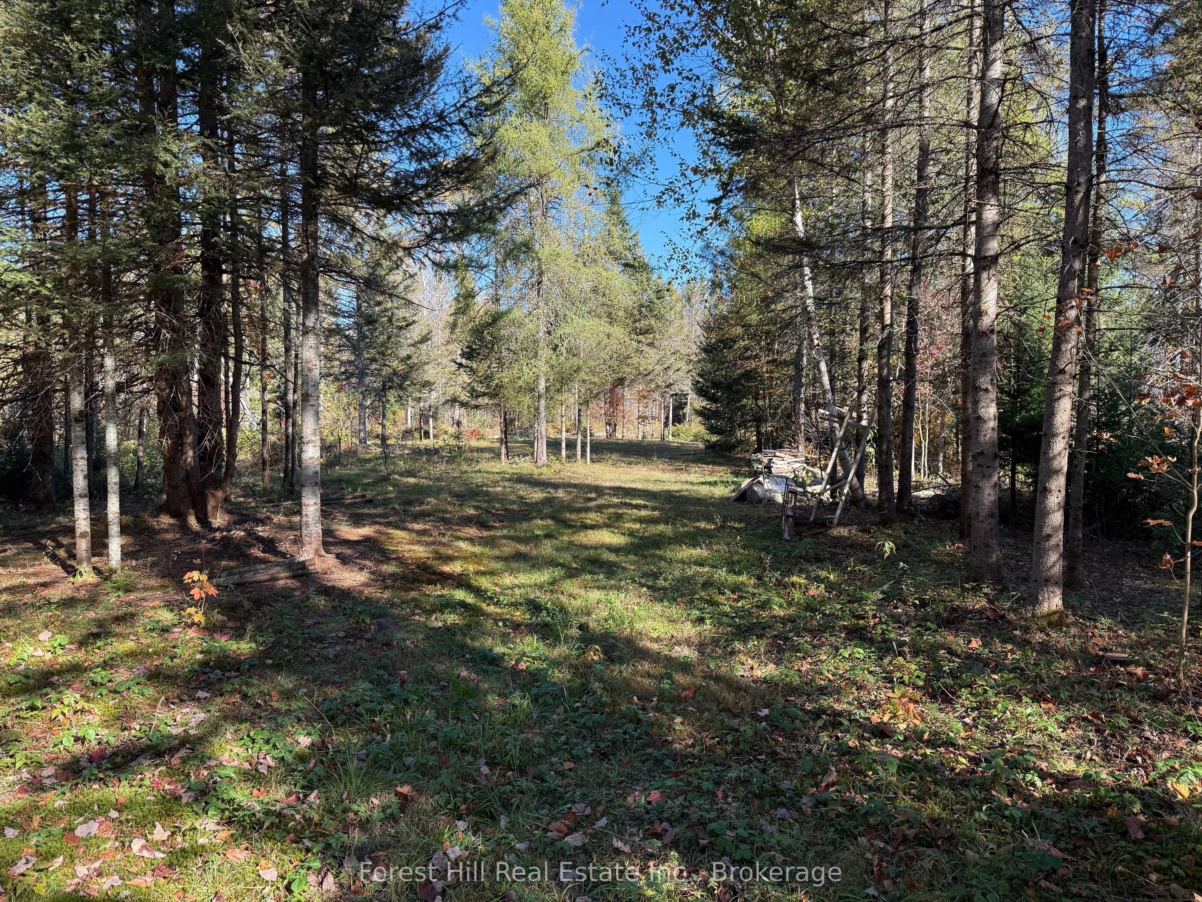 789 PICKEREL & JACK LAKE Road