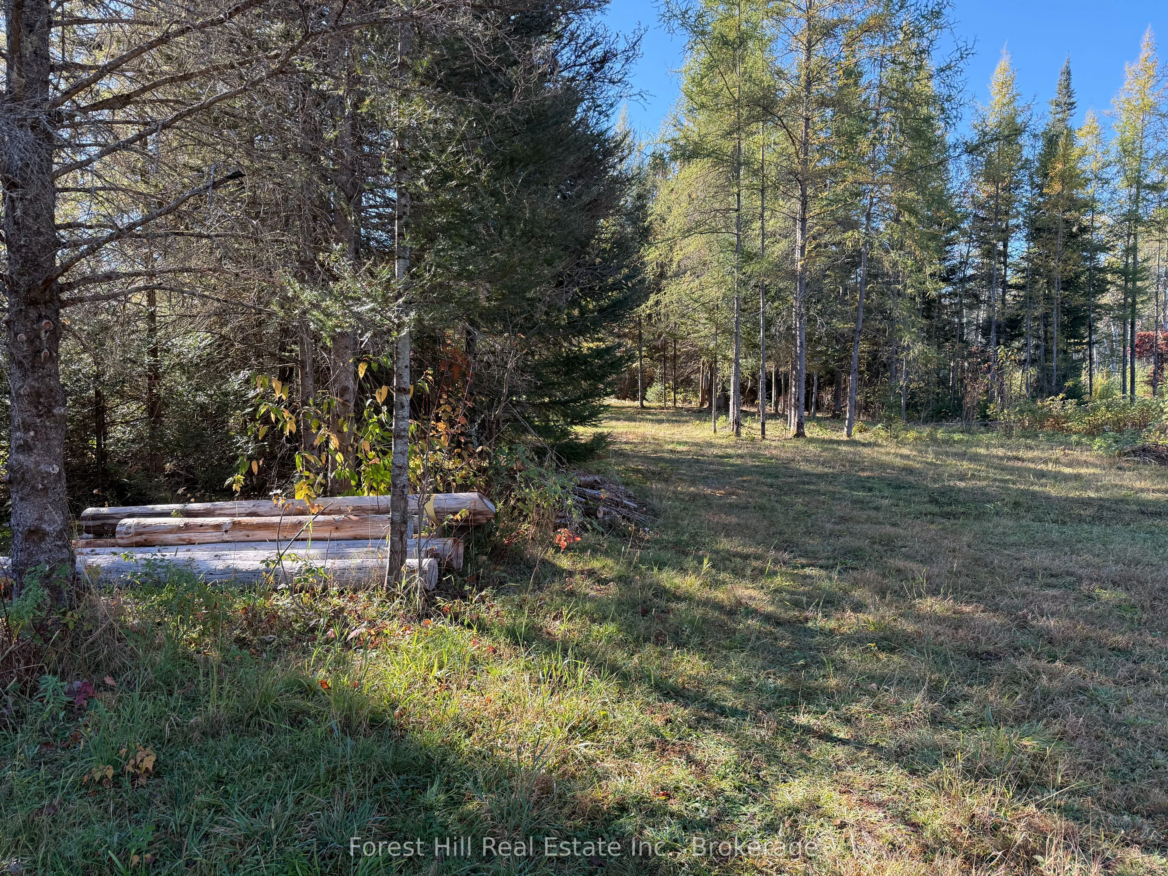 789 PICKEREL & JACK LAKE Road