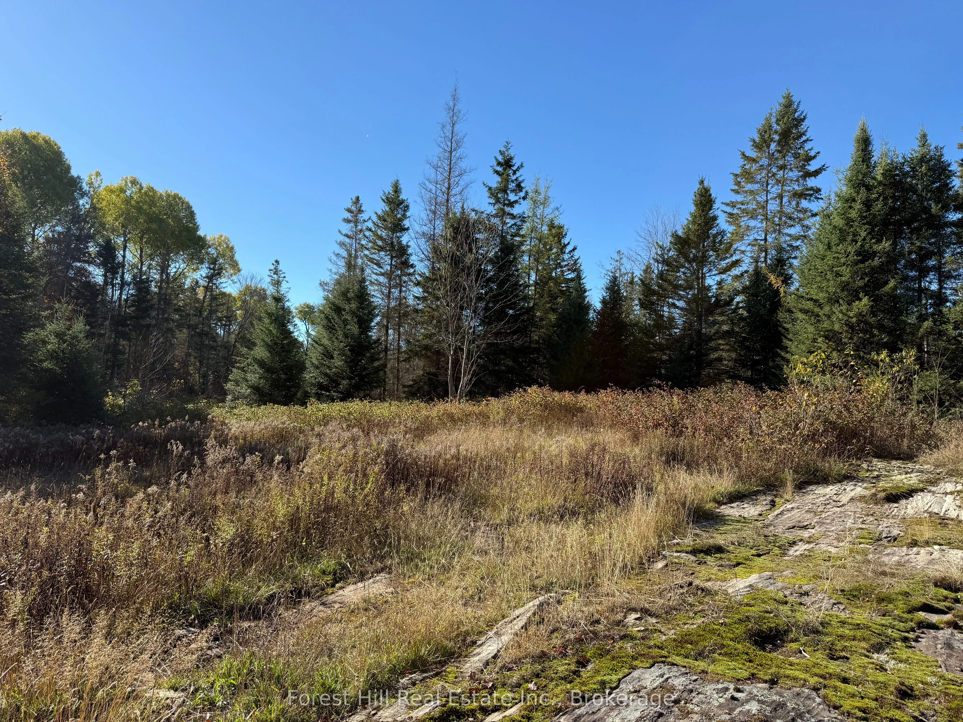 789 PICKEREL & JACK LAKE Road
