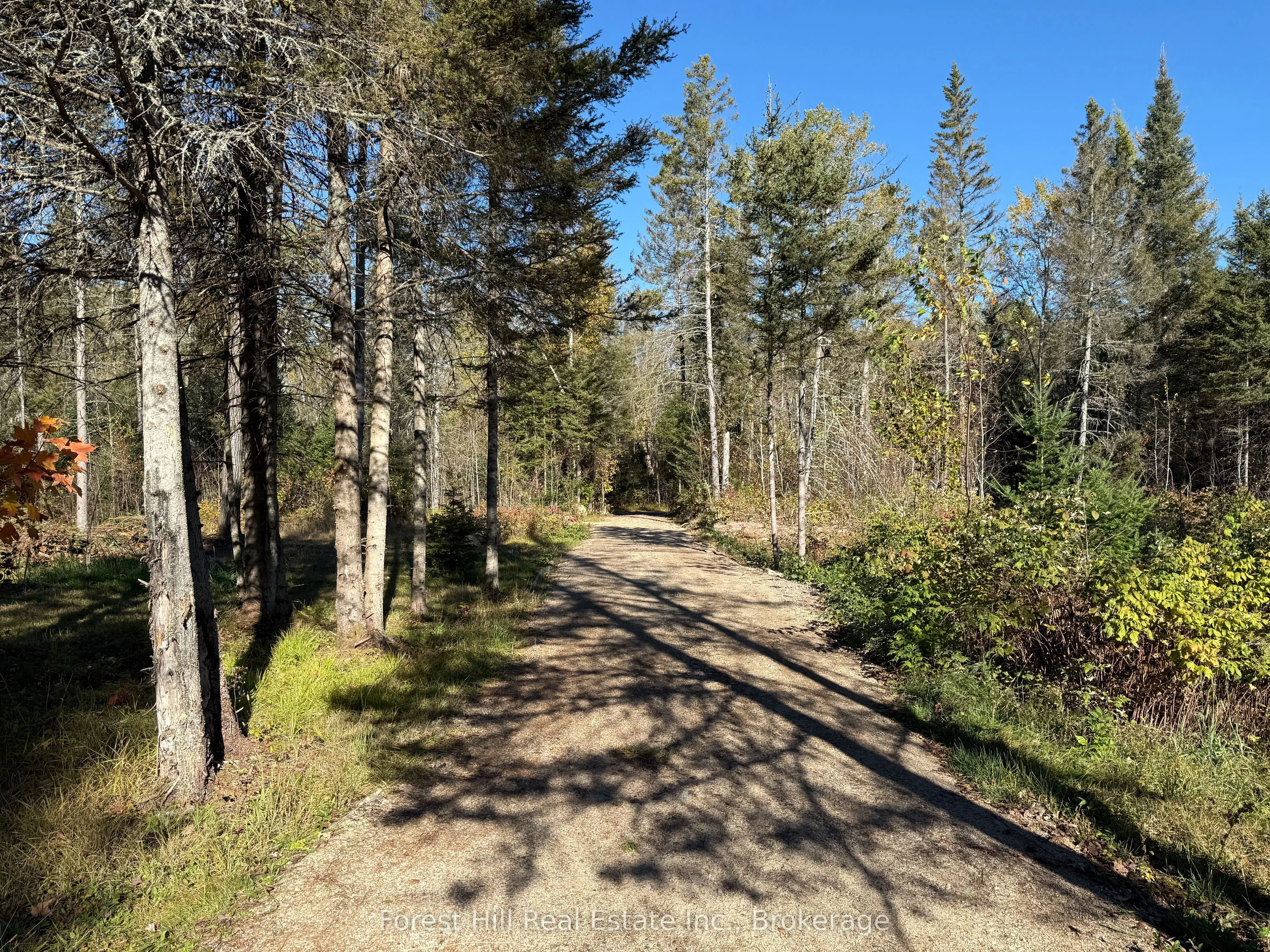 789 PICKEREL & JACK LAKE Road