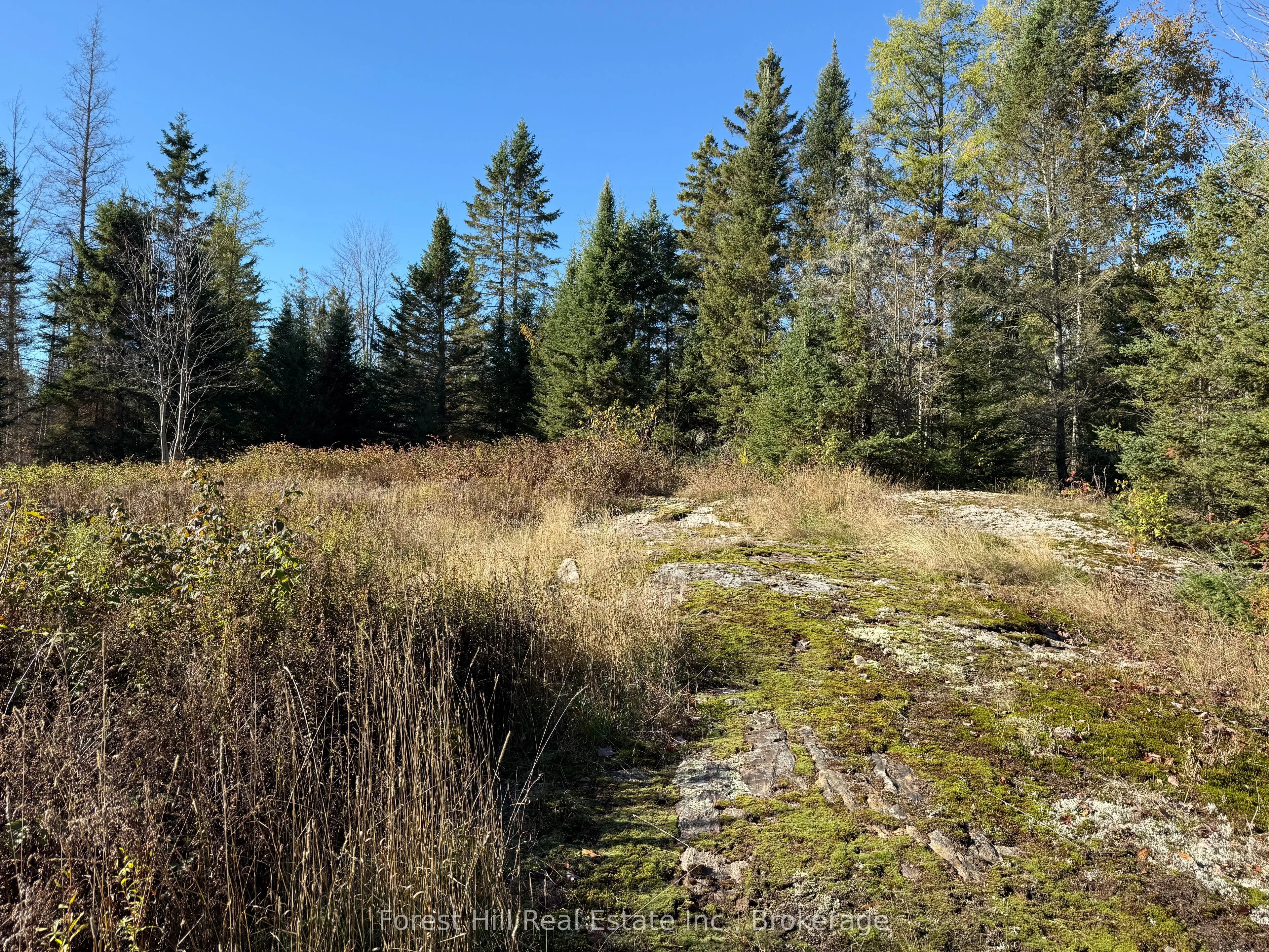 789 PICKEREL & JACK LAKE Road