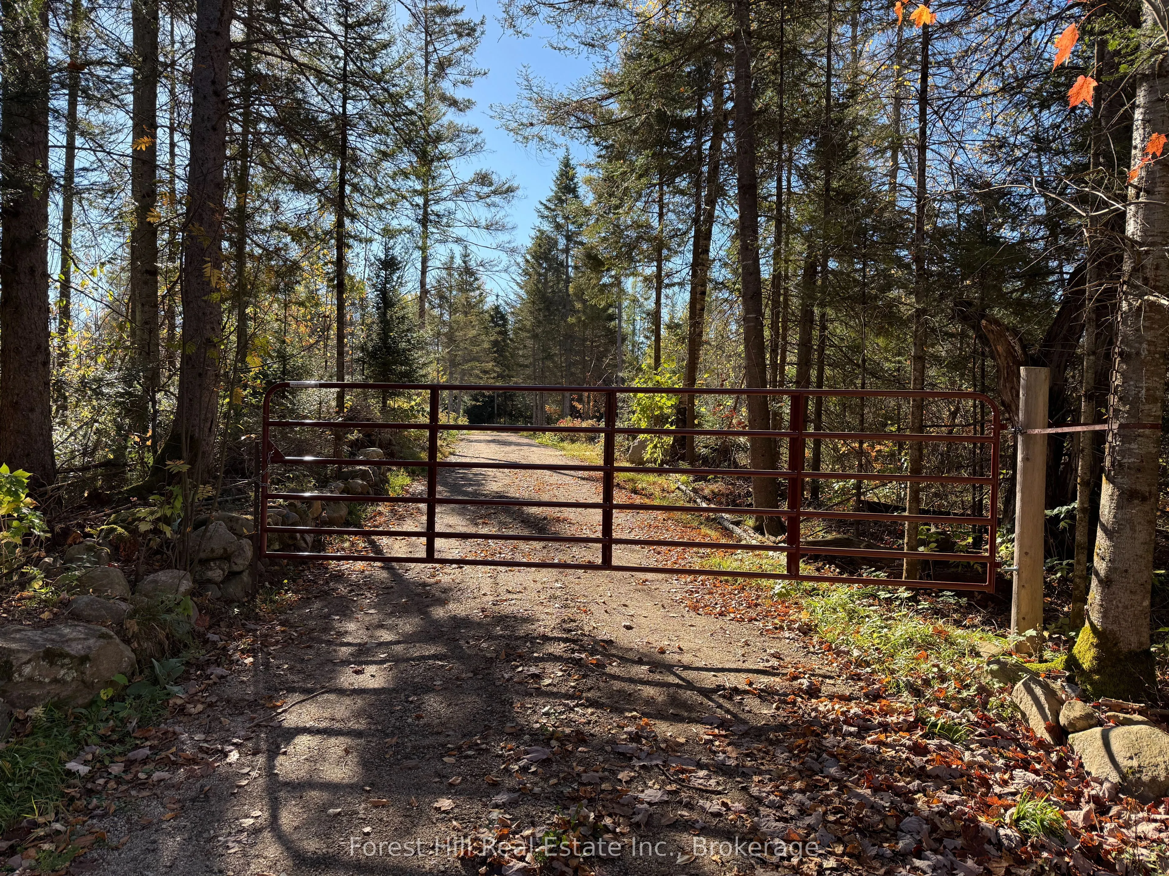 789 PICKEREL & JACK LAKE Road
