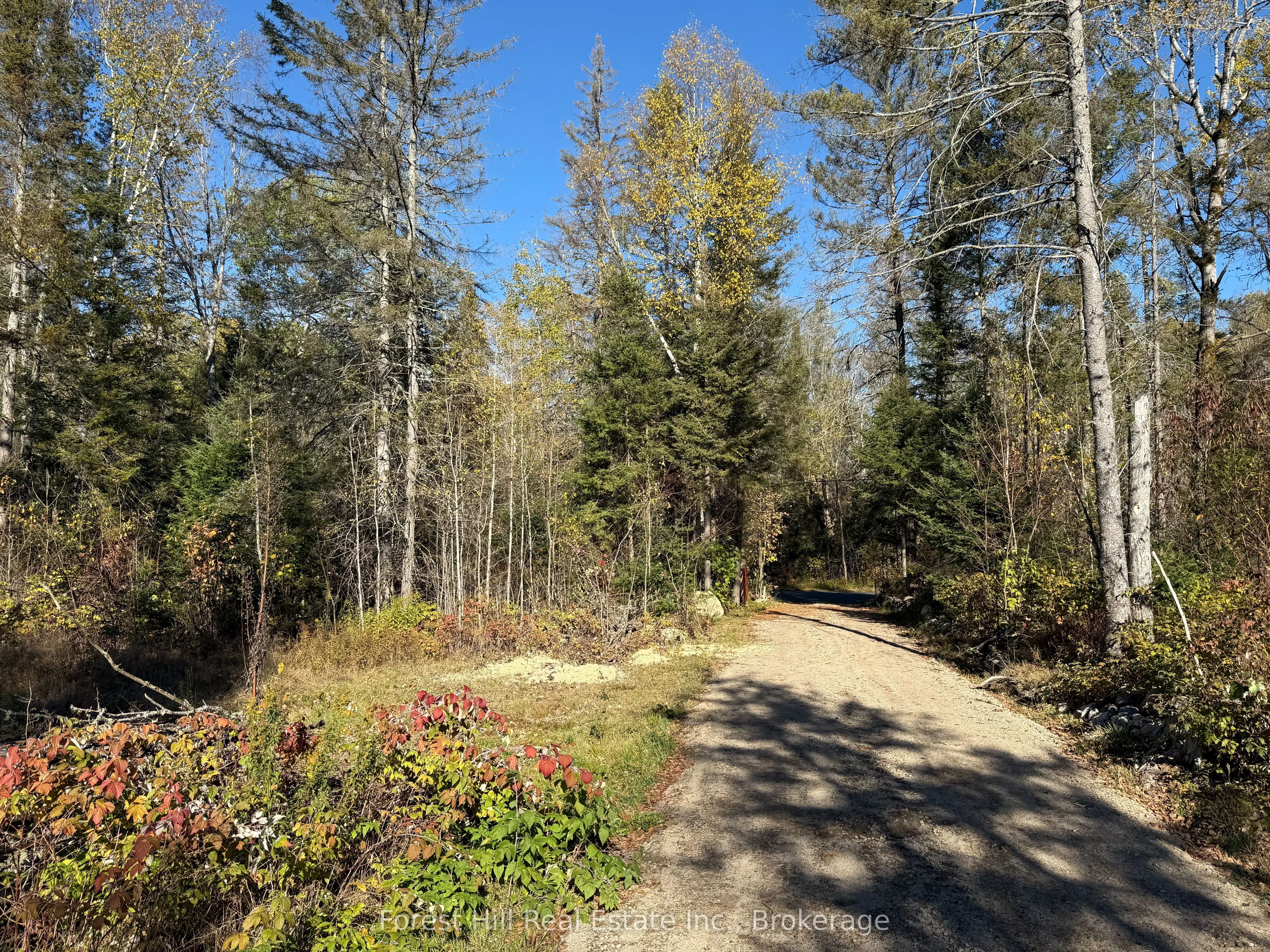 789 PICKEREL & JACK LAKE Road