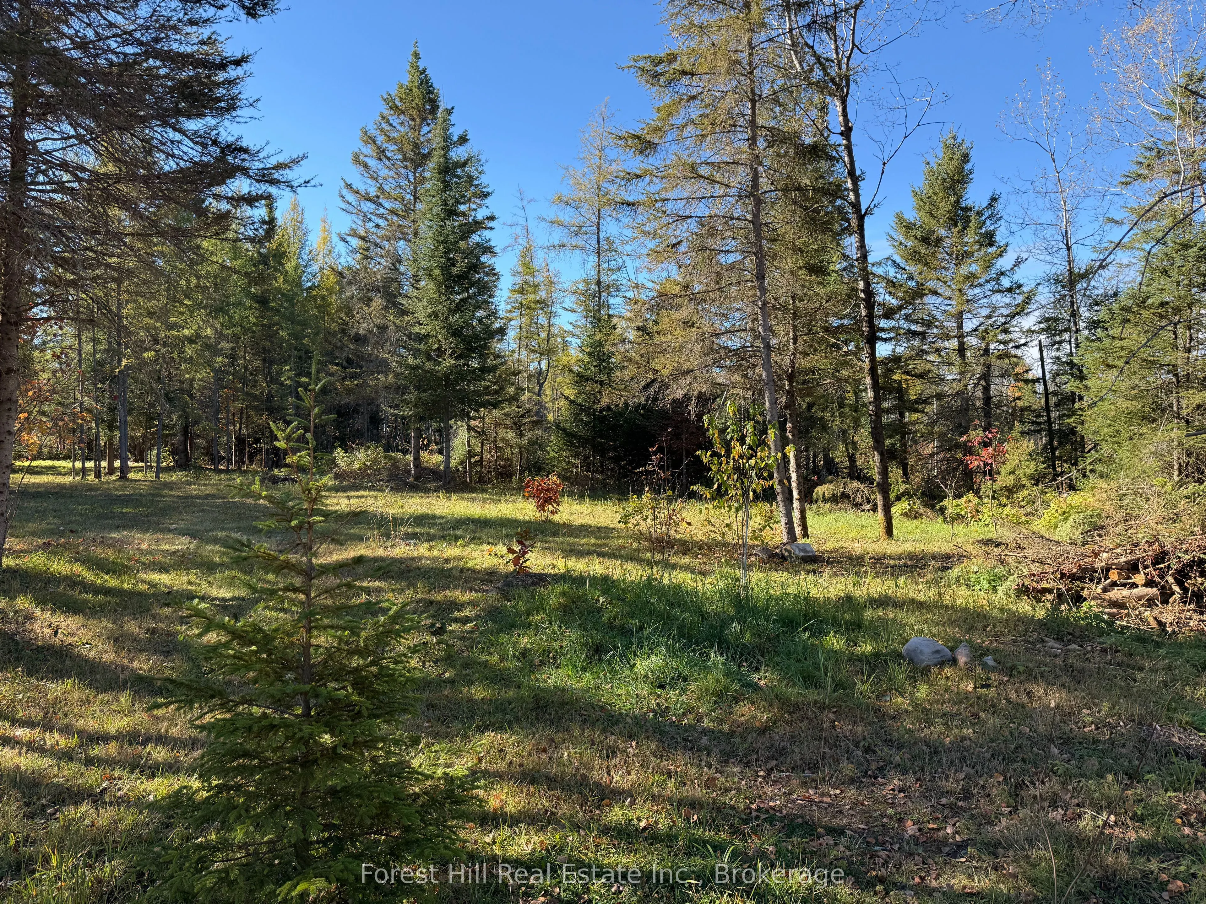 789 PICKEREL & JACK LAKE Road