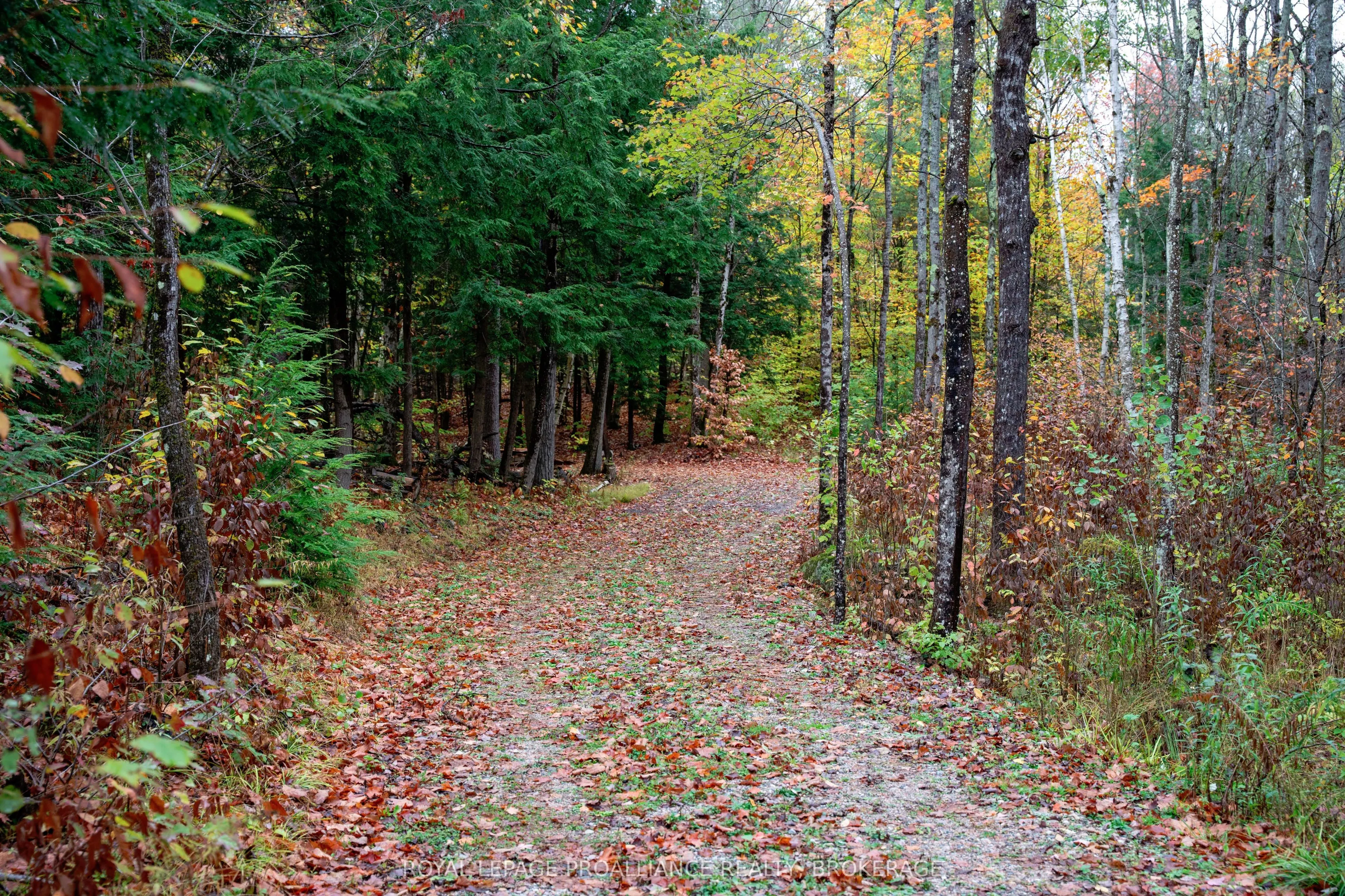 1060 Nordic Road