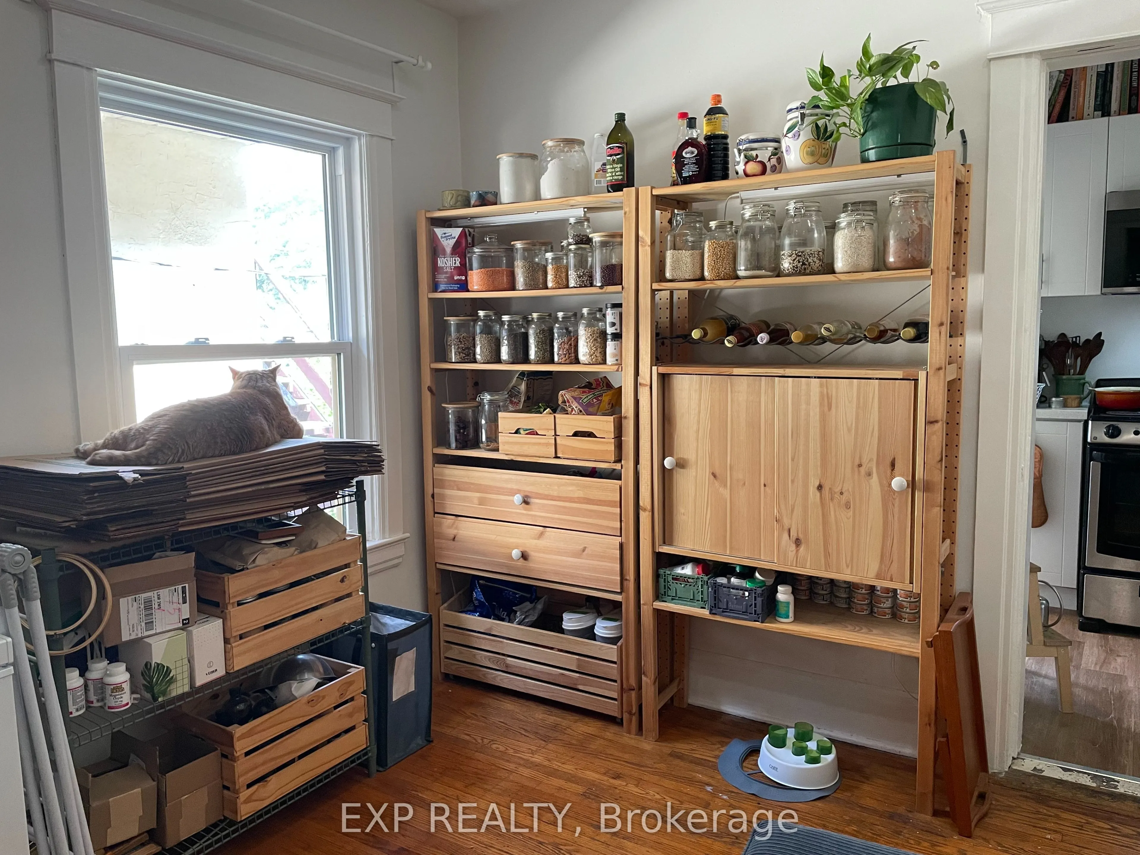 53 Proctor Boulevard, #3