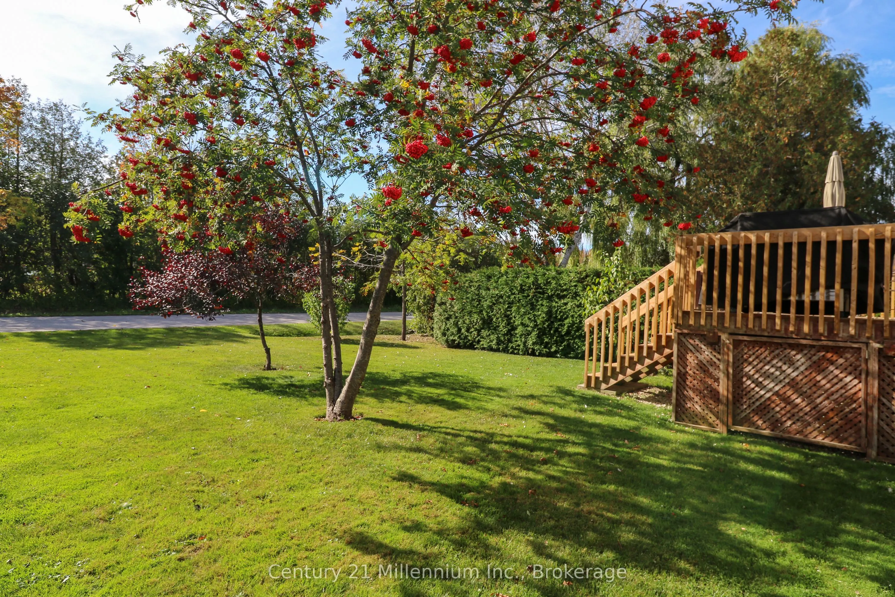 33 BIRCHWOOD Court