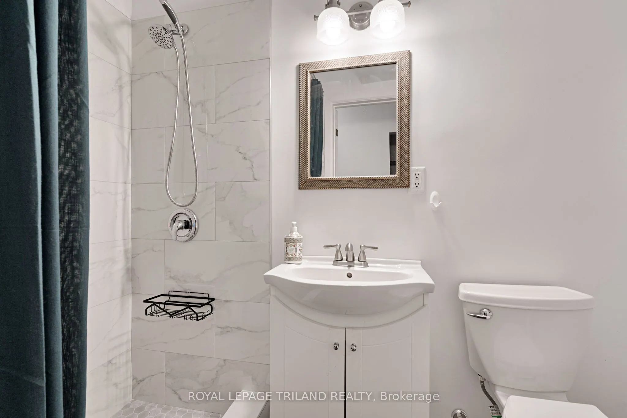 411 Wilkins Street, #1
