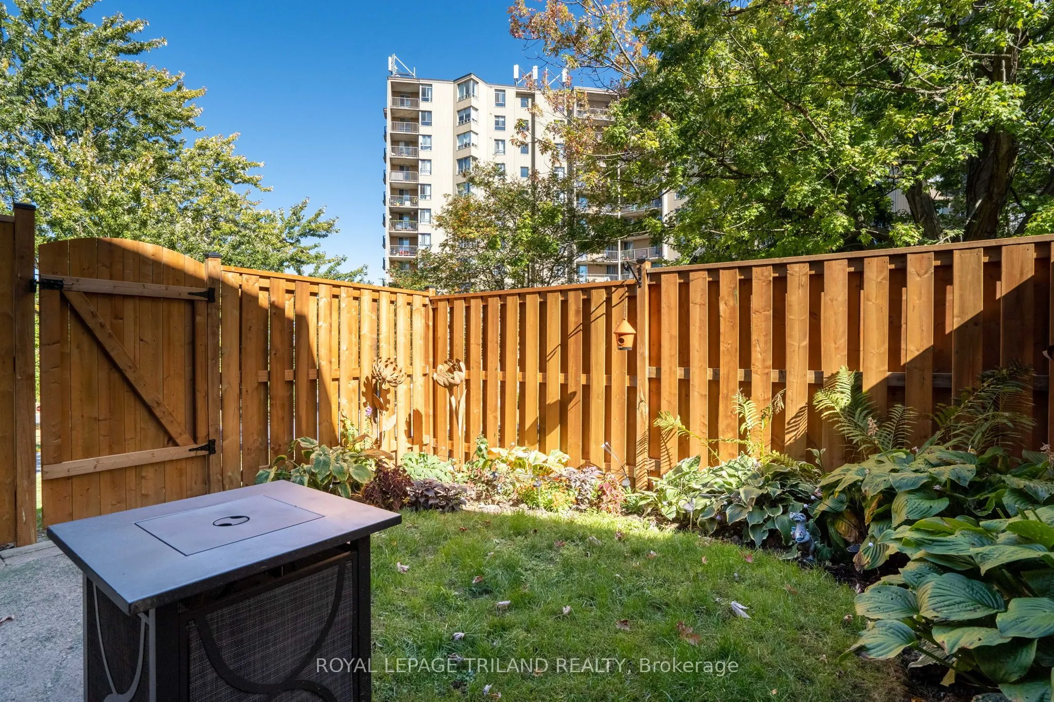 411 Wilkins Street, #1