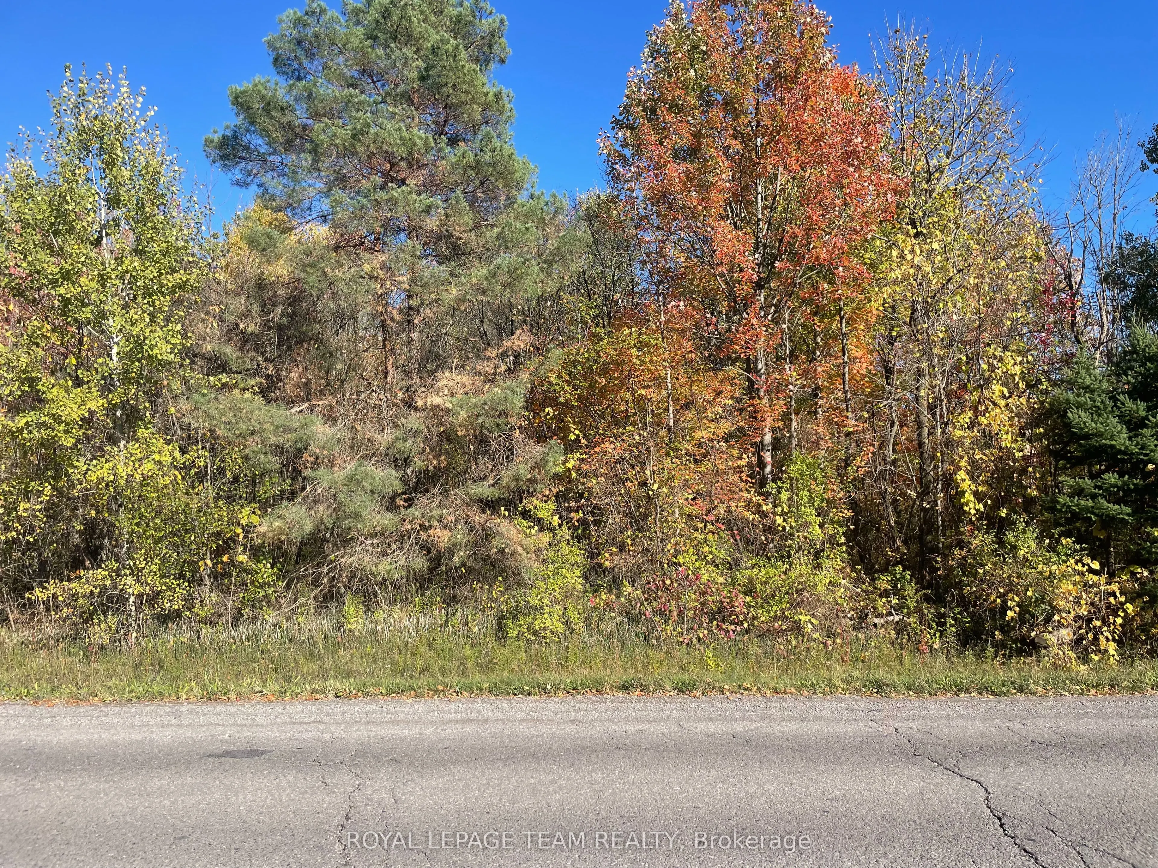 22987 Highway 7 Highway