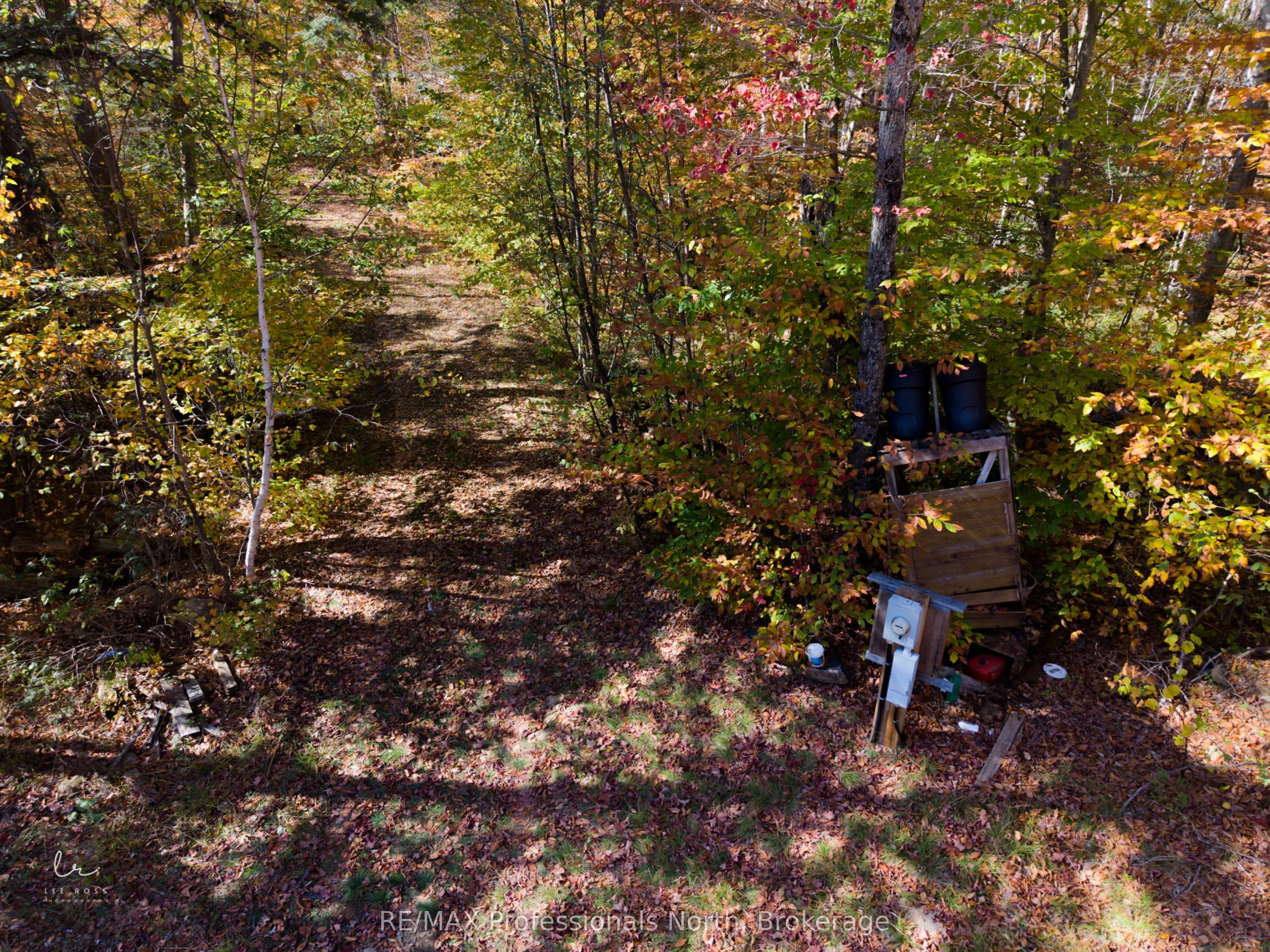 2594 Livingstone Lake Road