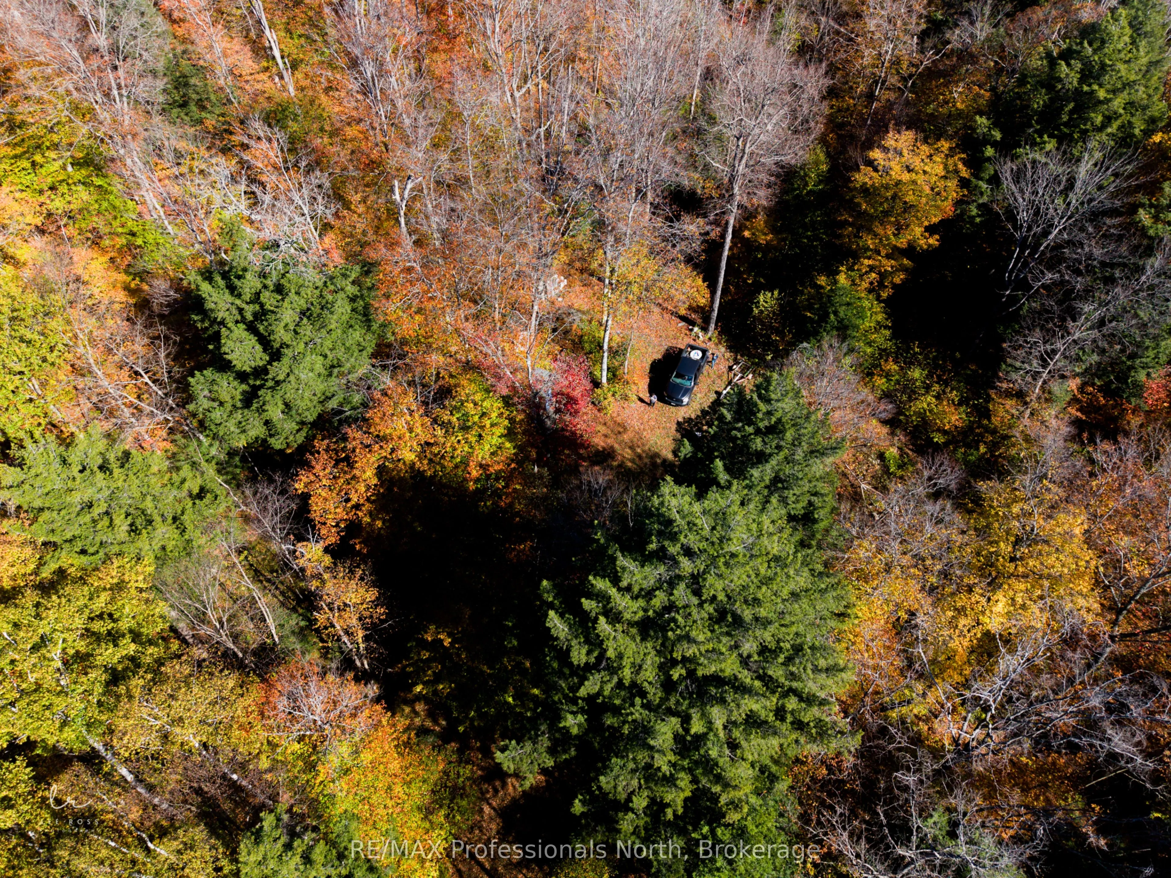 2594 Livingstone Lake Road