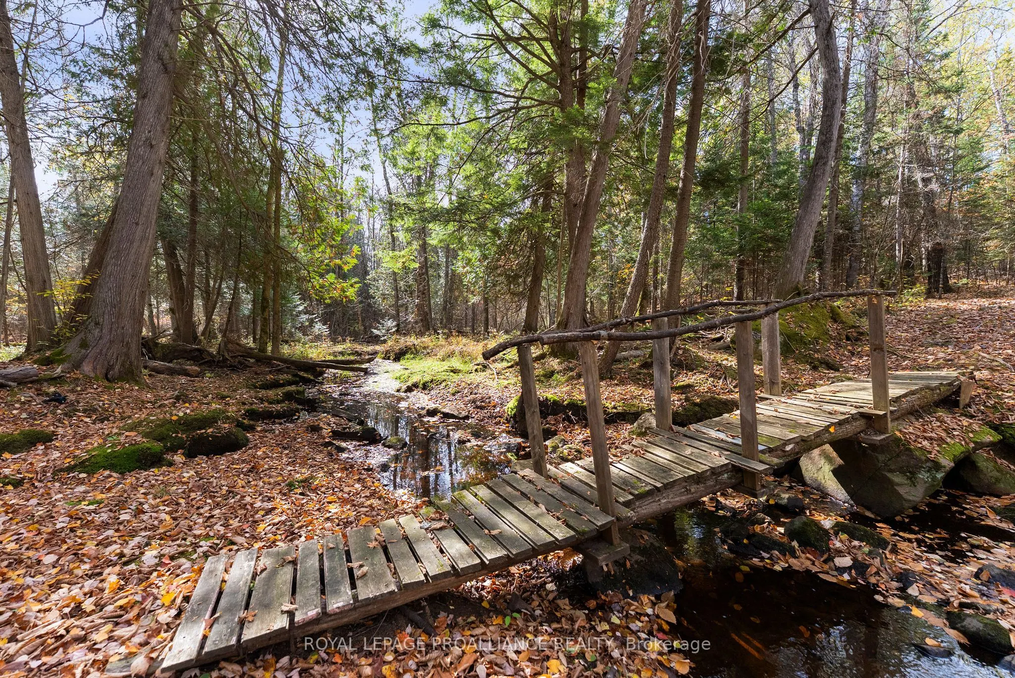 732 Old Barry's Bay Road