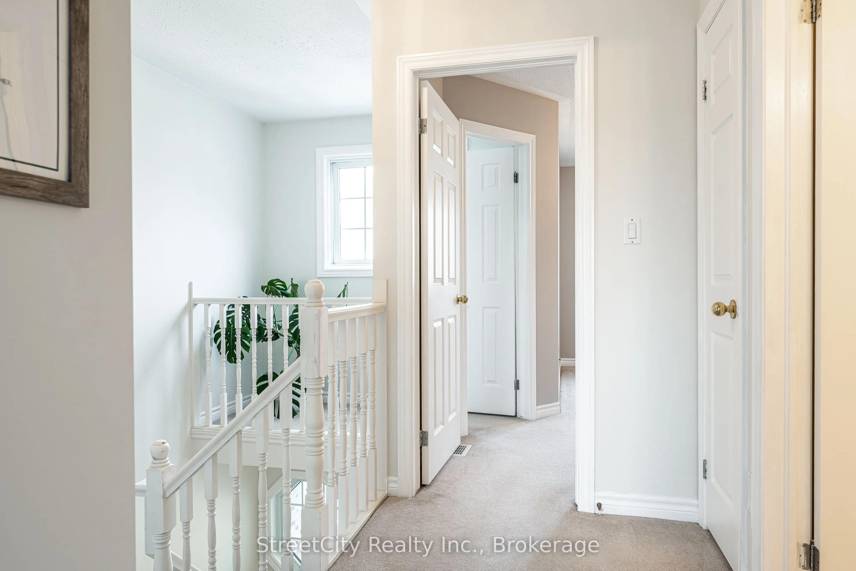 75 Wingfield Avenue