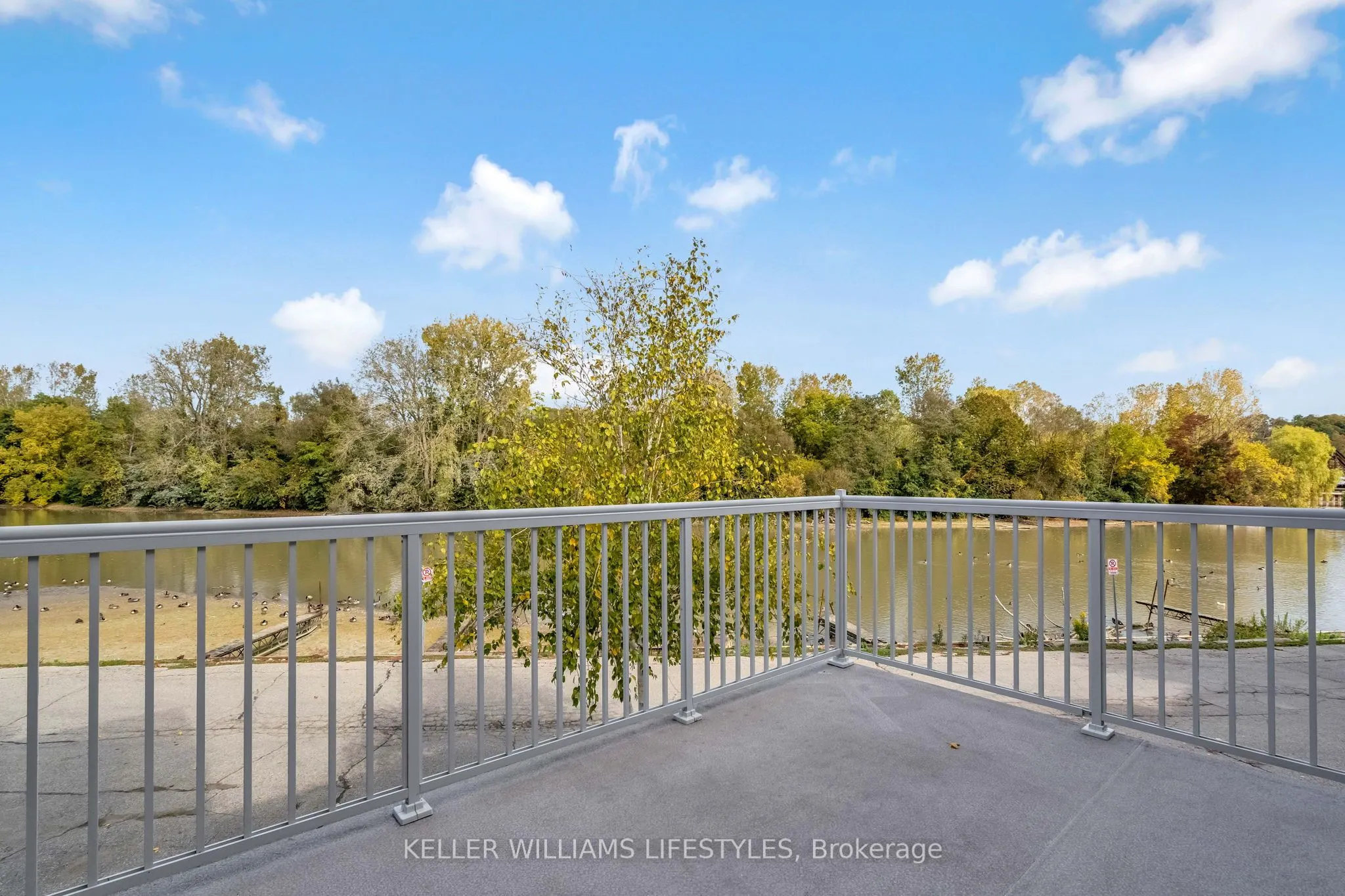 301 Carlow Road, #41
