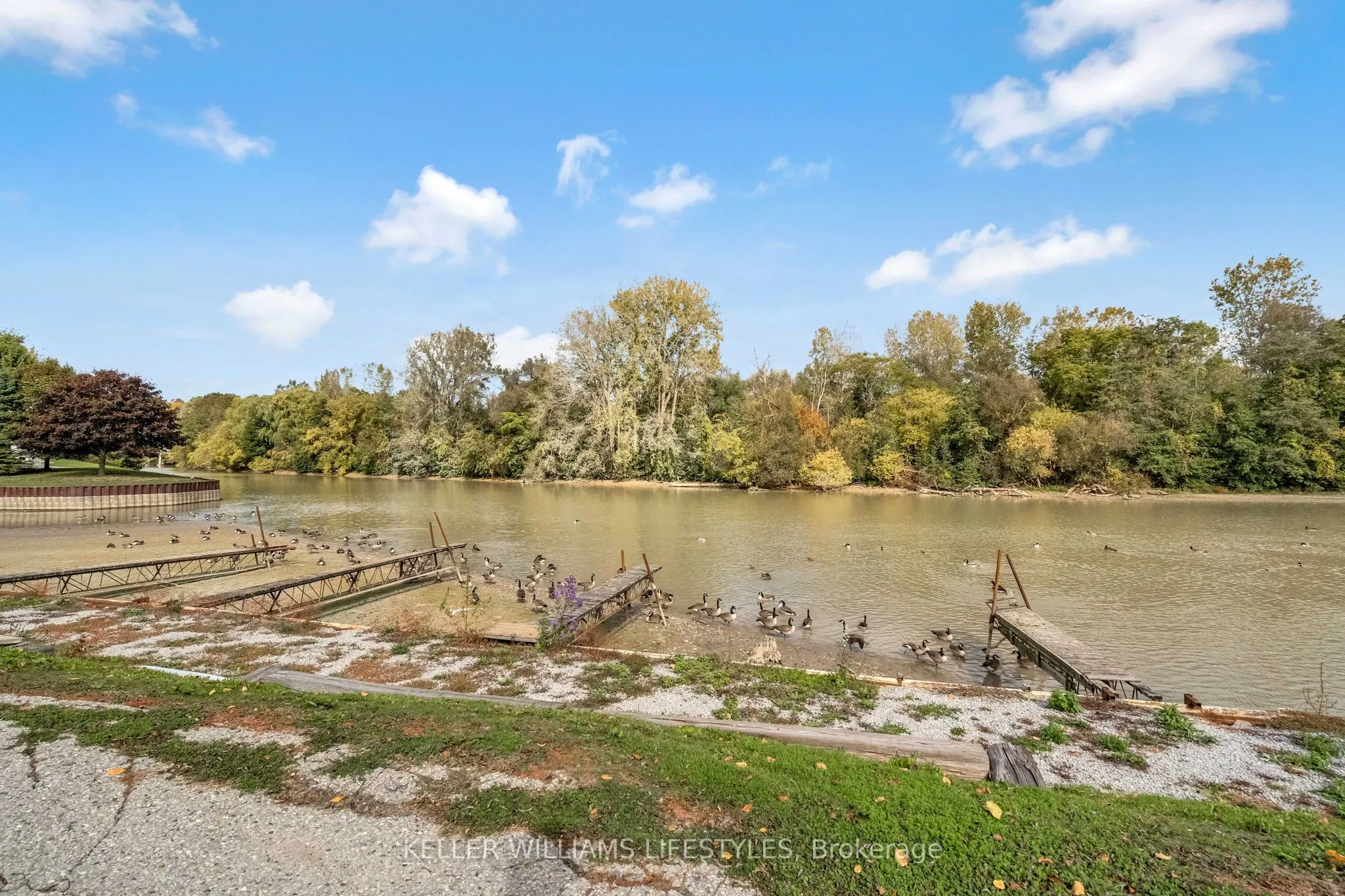 301 Carlow Road, #41