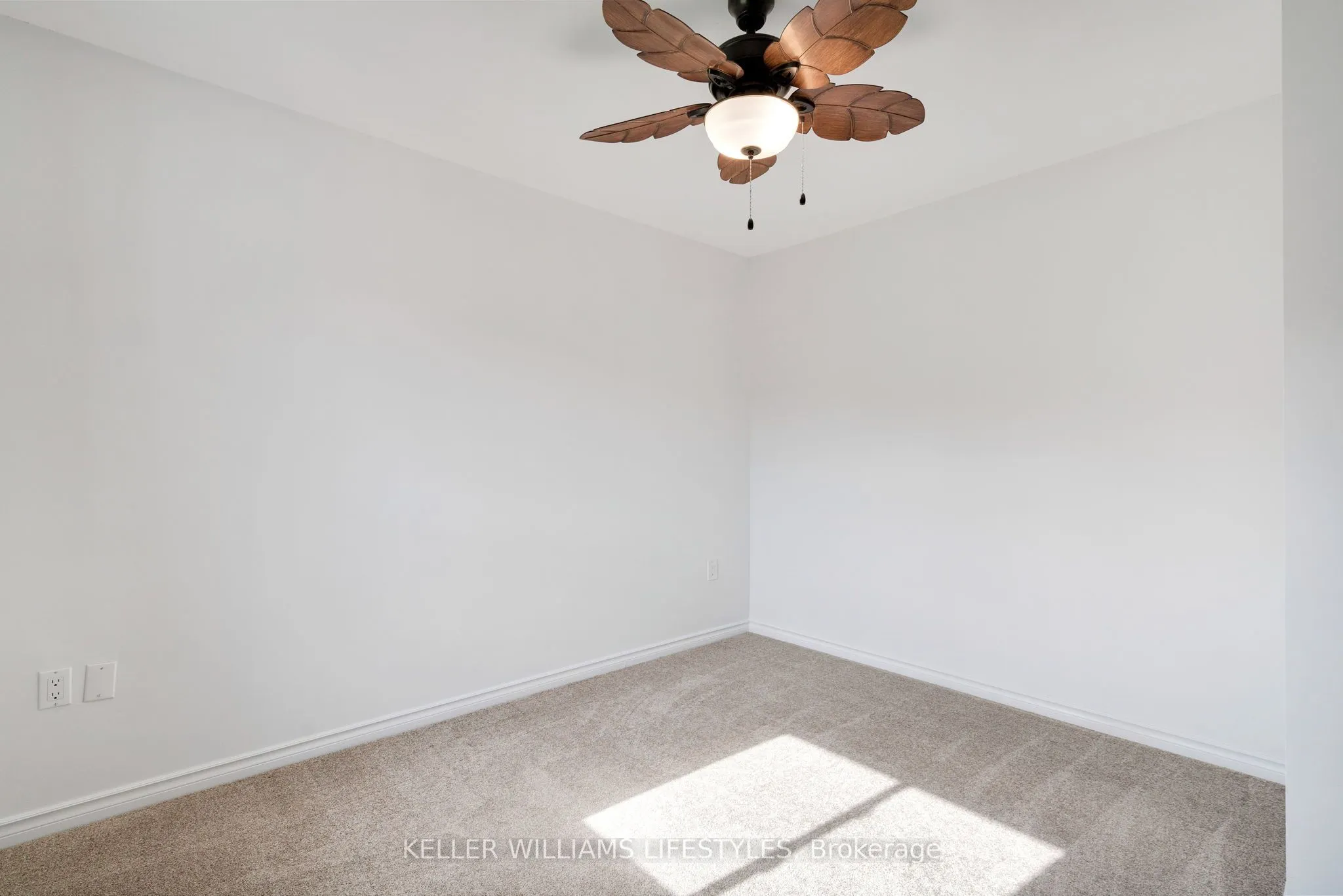 301 Carlow Road, #41