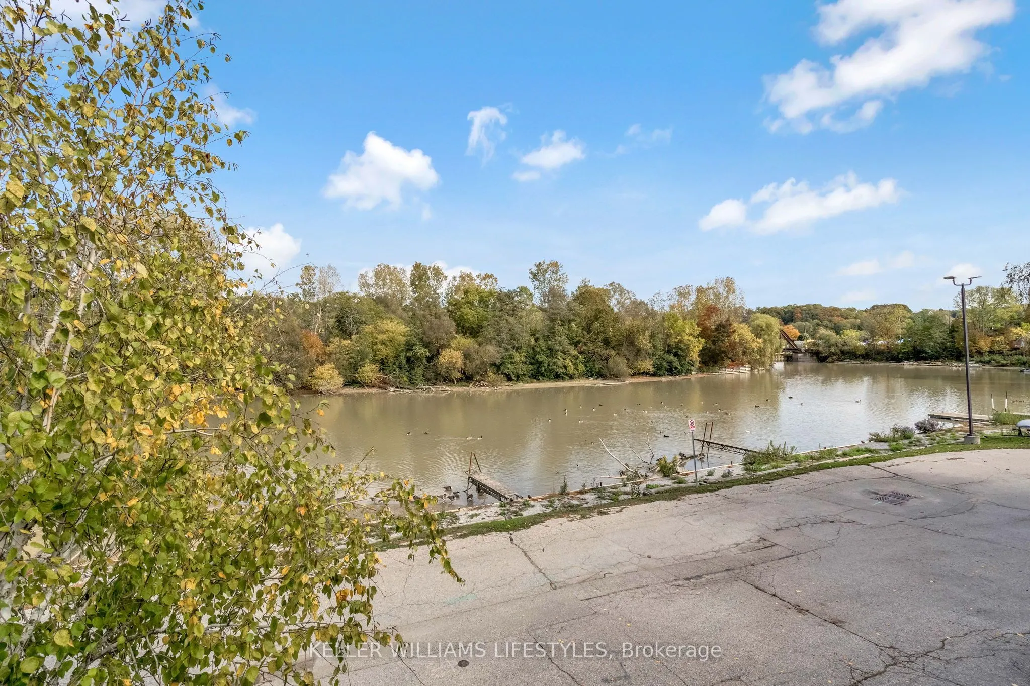 301 Carlow Road, #41