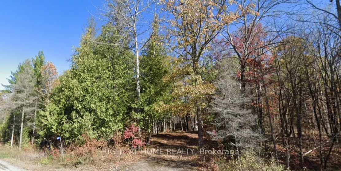 93 McCleary Road