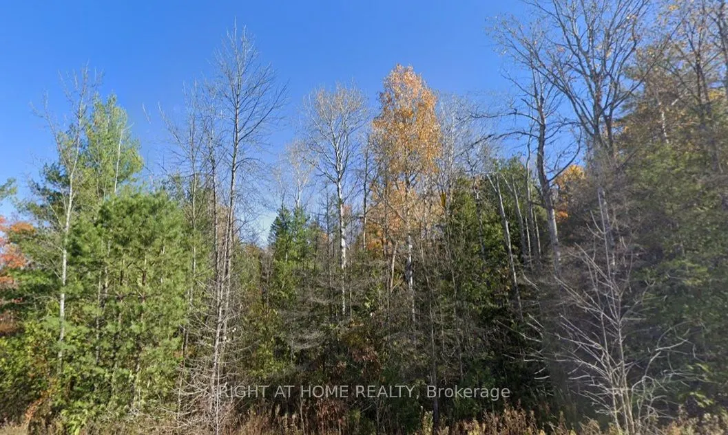 93 McCleary Road