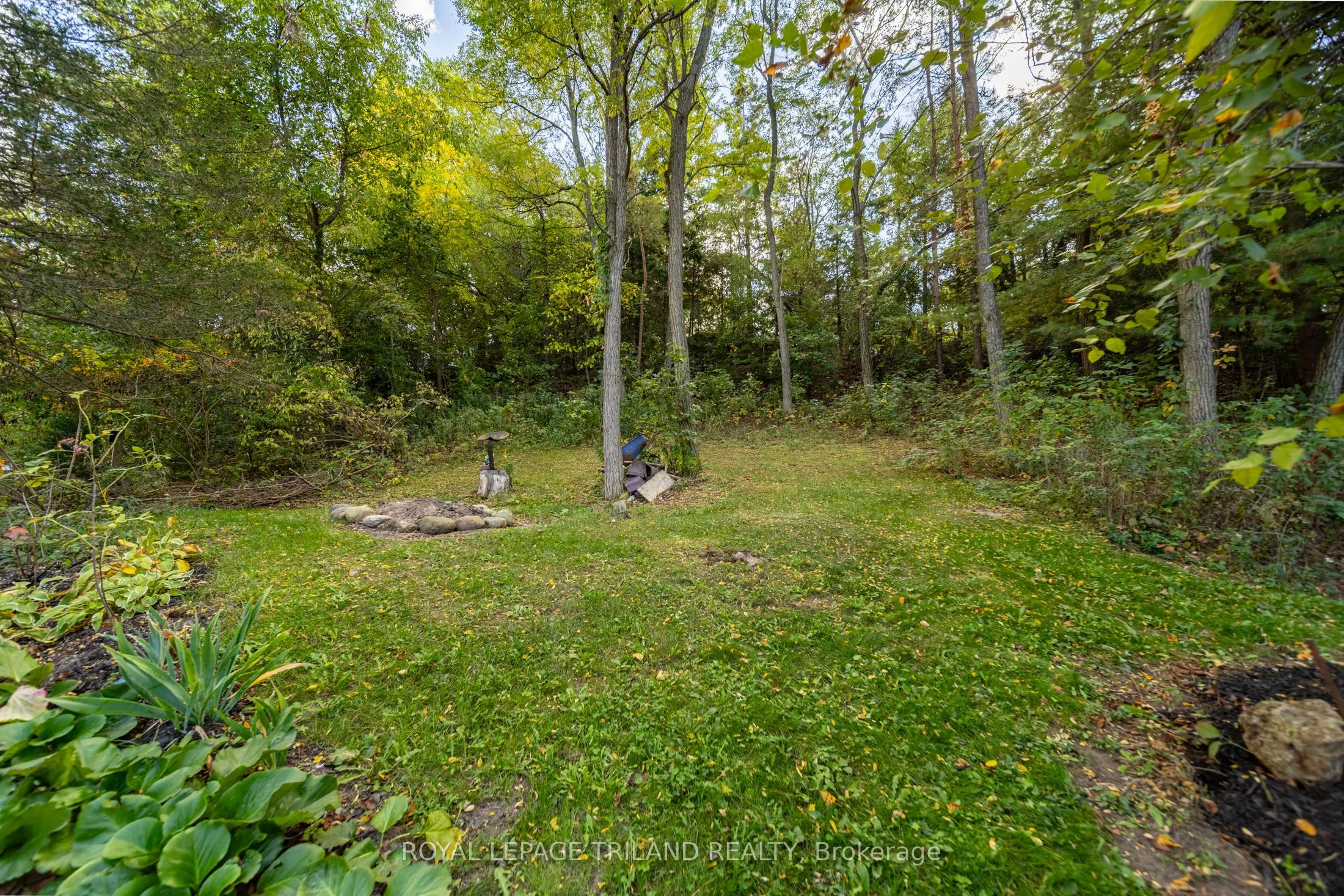 7707 Patrick Street