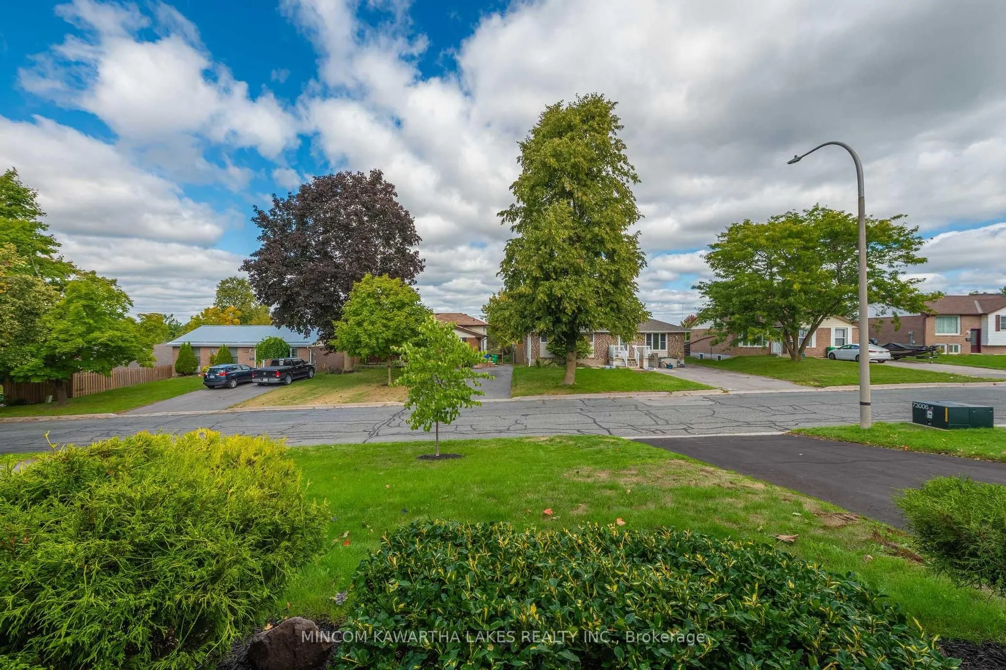919 Sydenham Road