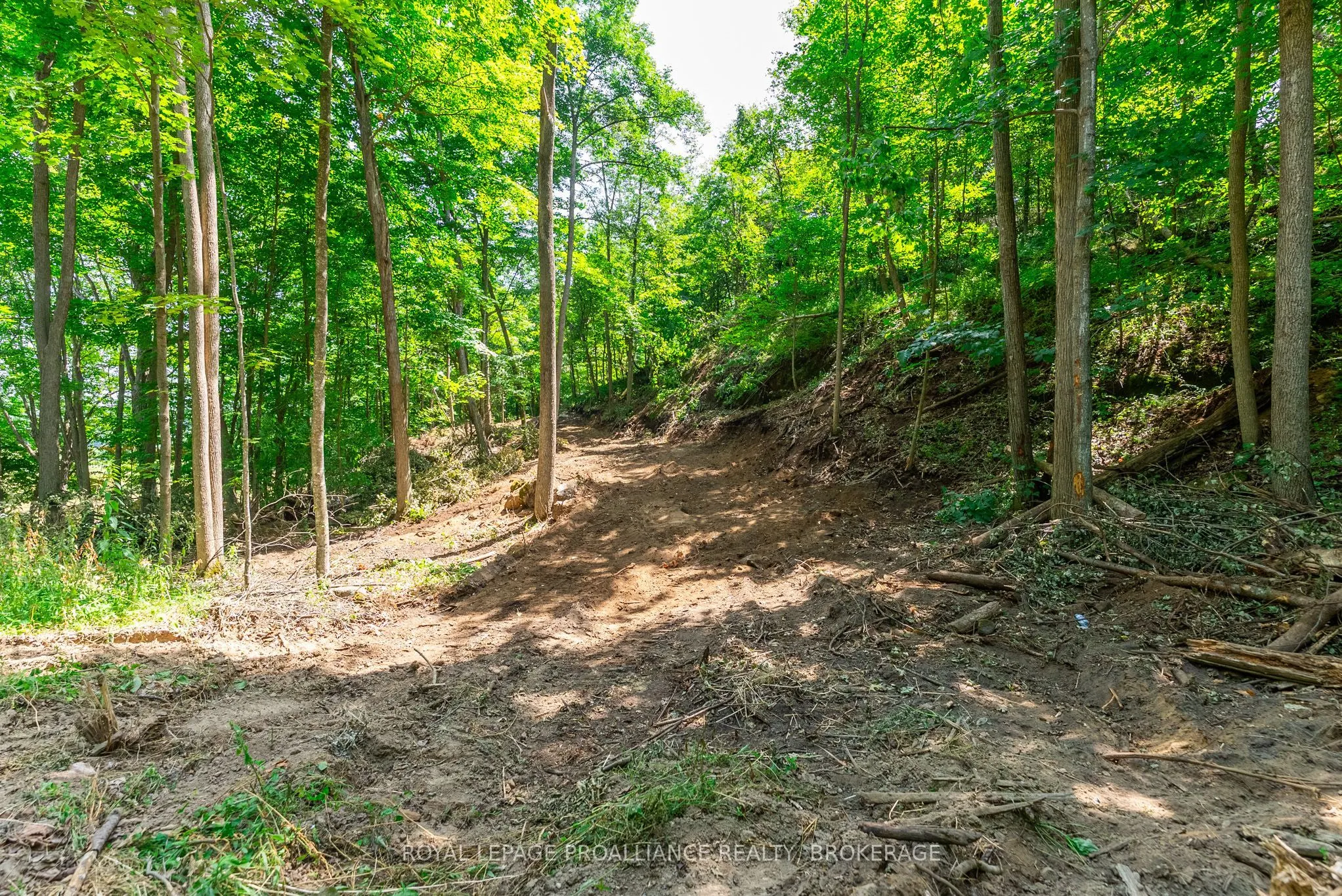 Lot 2 Trillium Lane